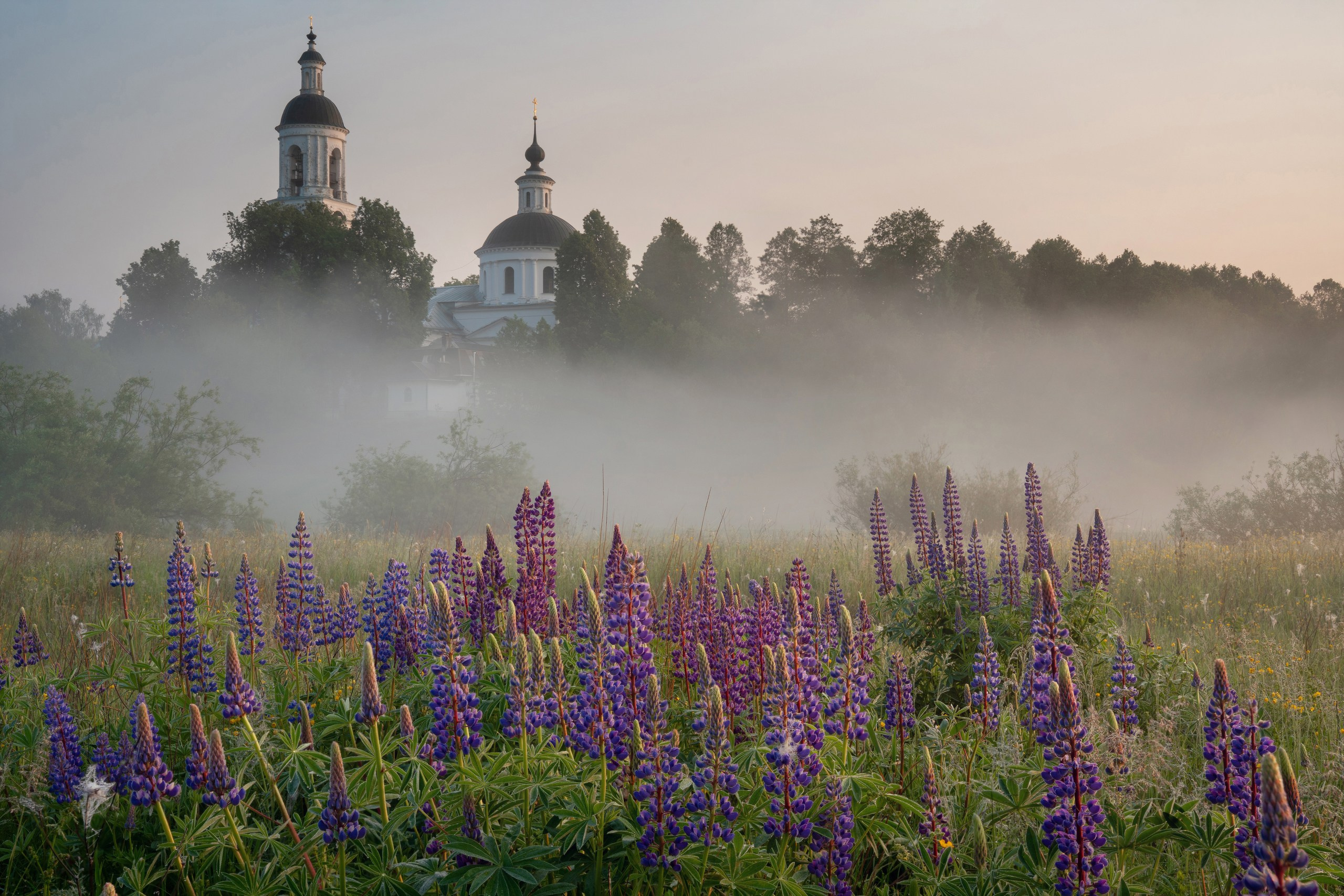 Золотое кольцо. Фотограф в Красноярске Нерозя Александр. Пейзаж, природа, портрет