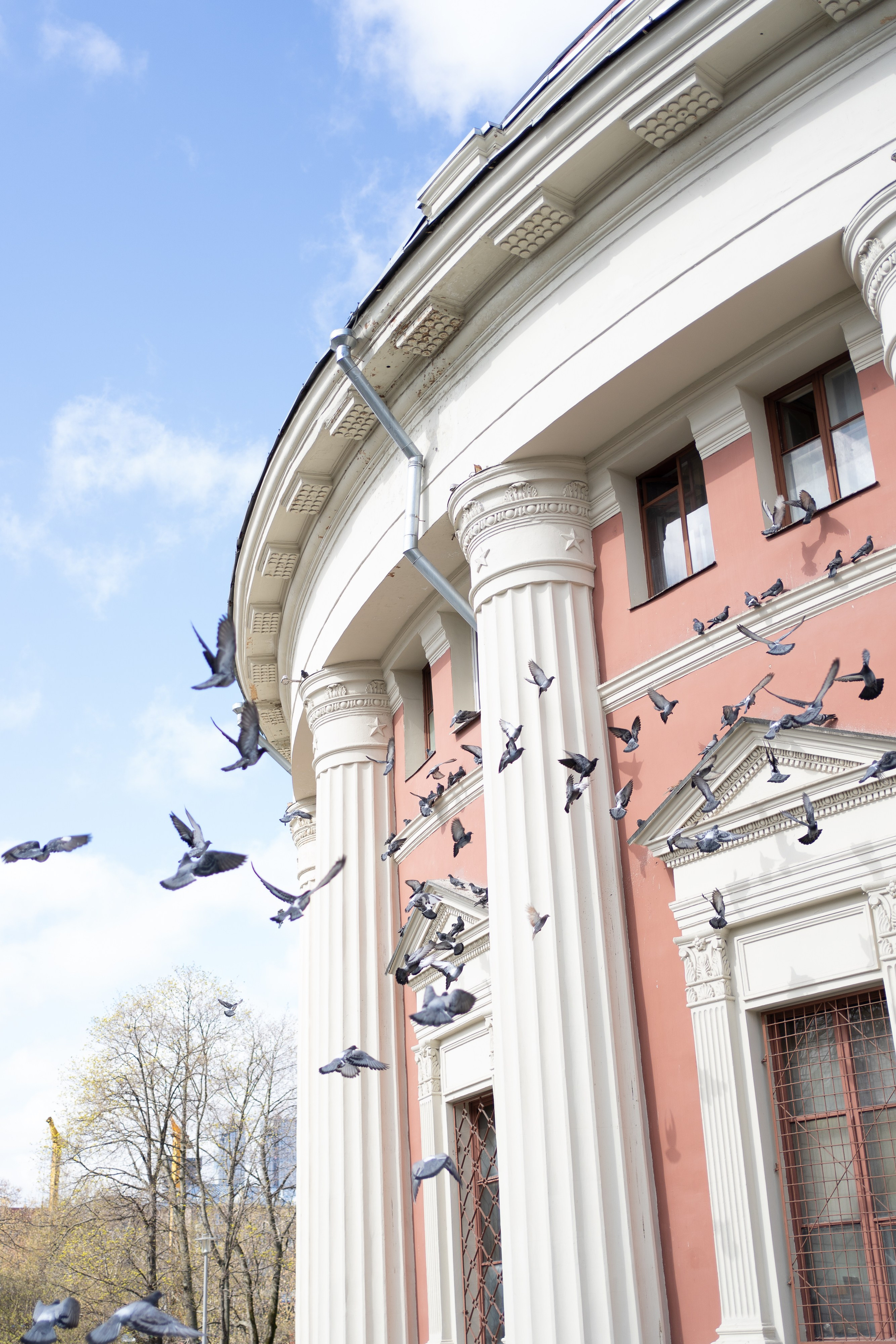 Парижская симфония I. Главная