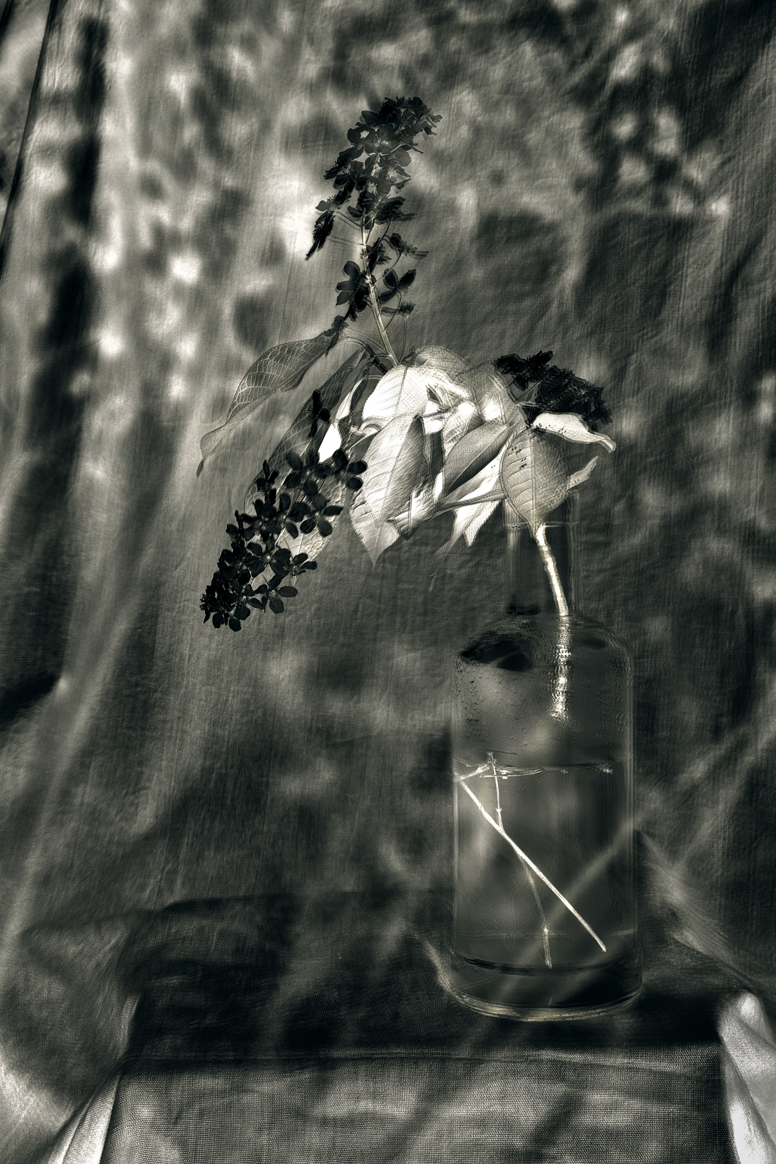 Зарисовки на балконе и на даче. Фотограф в Москве, в Самаре Инна Мамонова