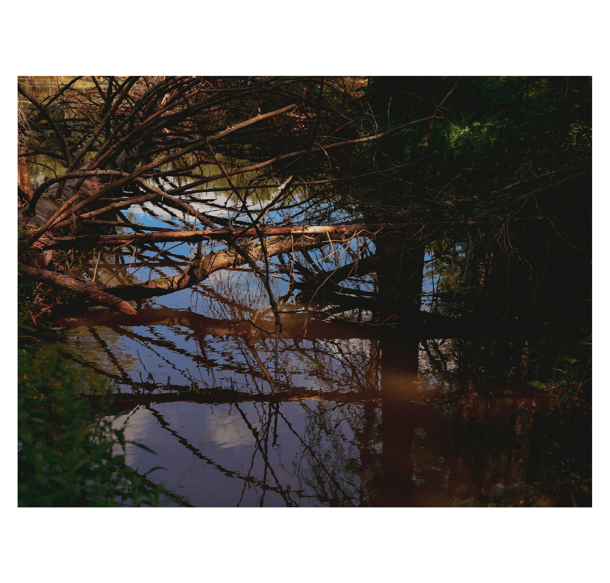 Summer hike. Фотограф/дизайнер в Екатеринбурге Хитрый Дмитрий