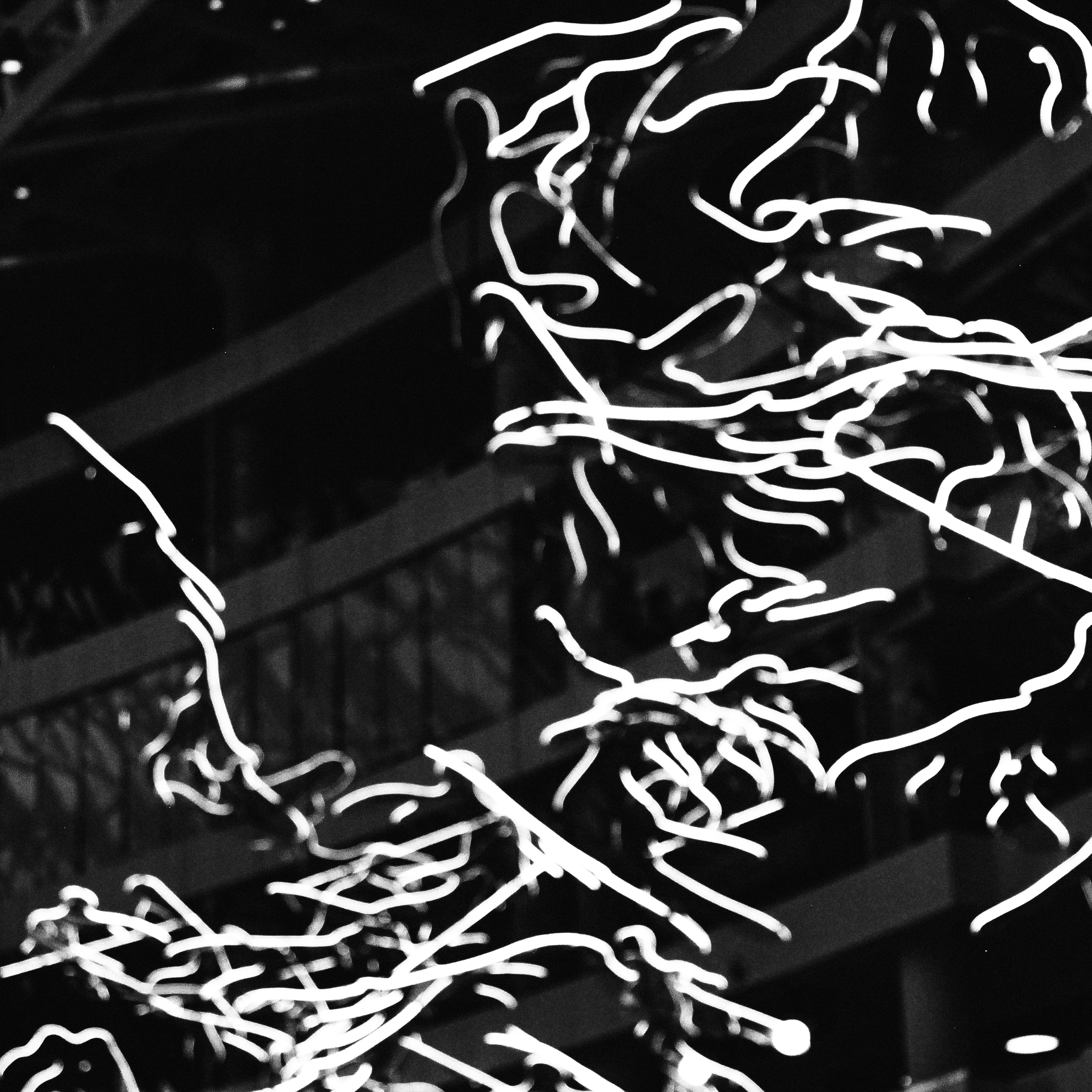 Summertime. Фотограф/дизайнер в Екатеринбурге Хитрый Дмитрий