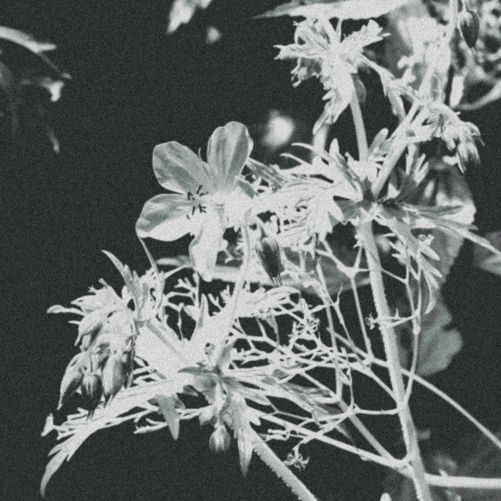 Summer hike. Фотограф/дизайнер в Екатеринбурге Хитрый Дмитрий