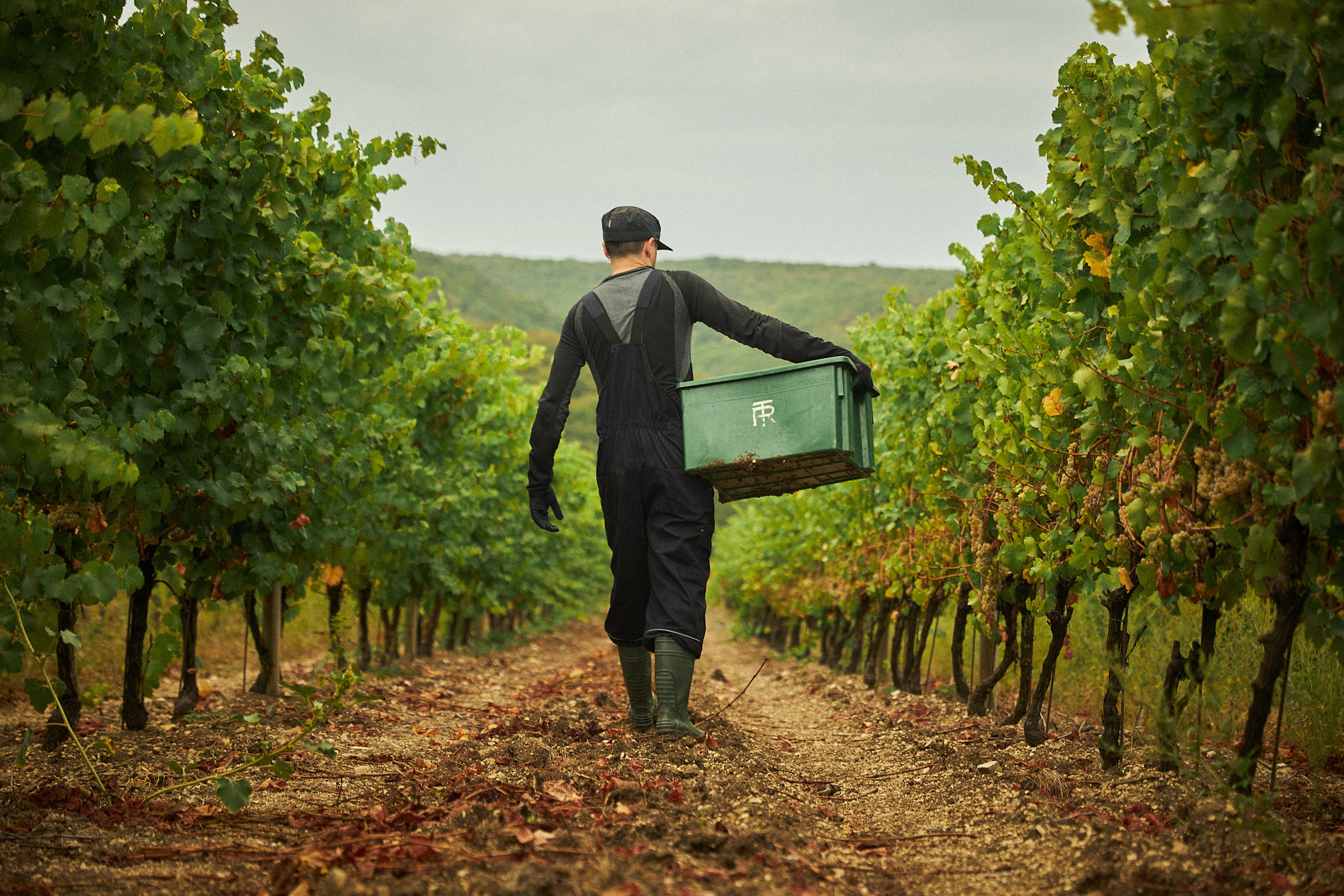 Galitsky & Galitsky. ПОЧЕМУ? СТУДИЯ