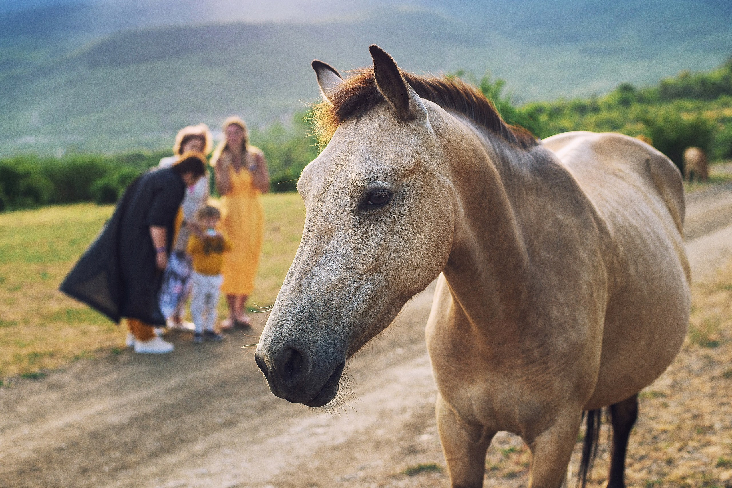 Конные фотосессии. Фотограф Крым Мария Зацаринная