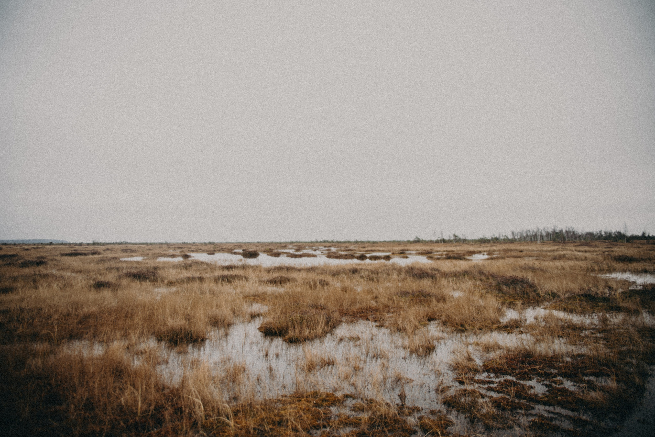 Ельня, Беларусь. Anita_photo