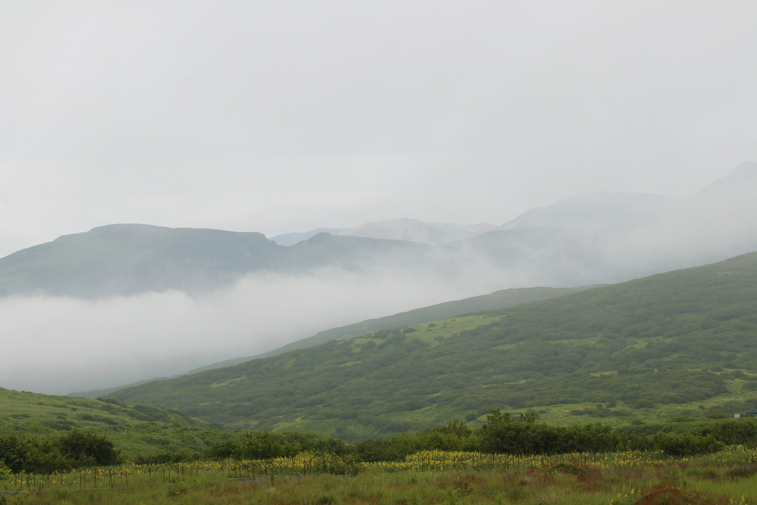 Камчатка и о. Парамушир. Июль 2024. Путешественник-фотограф из Санкт-Петербурга Татьяна Свистулина