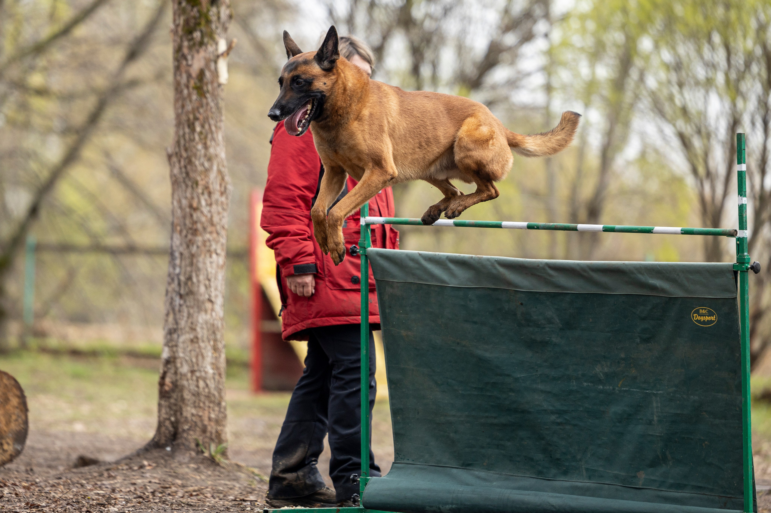Квалификационные состязания по мондьорингу г. Вологда 11.05.24. Фотограф-анималист Анна Маринич