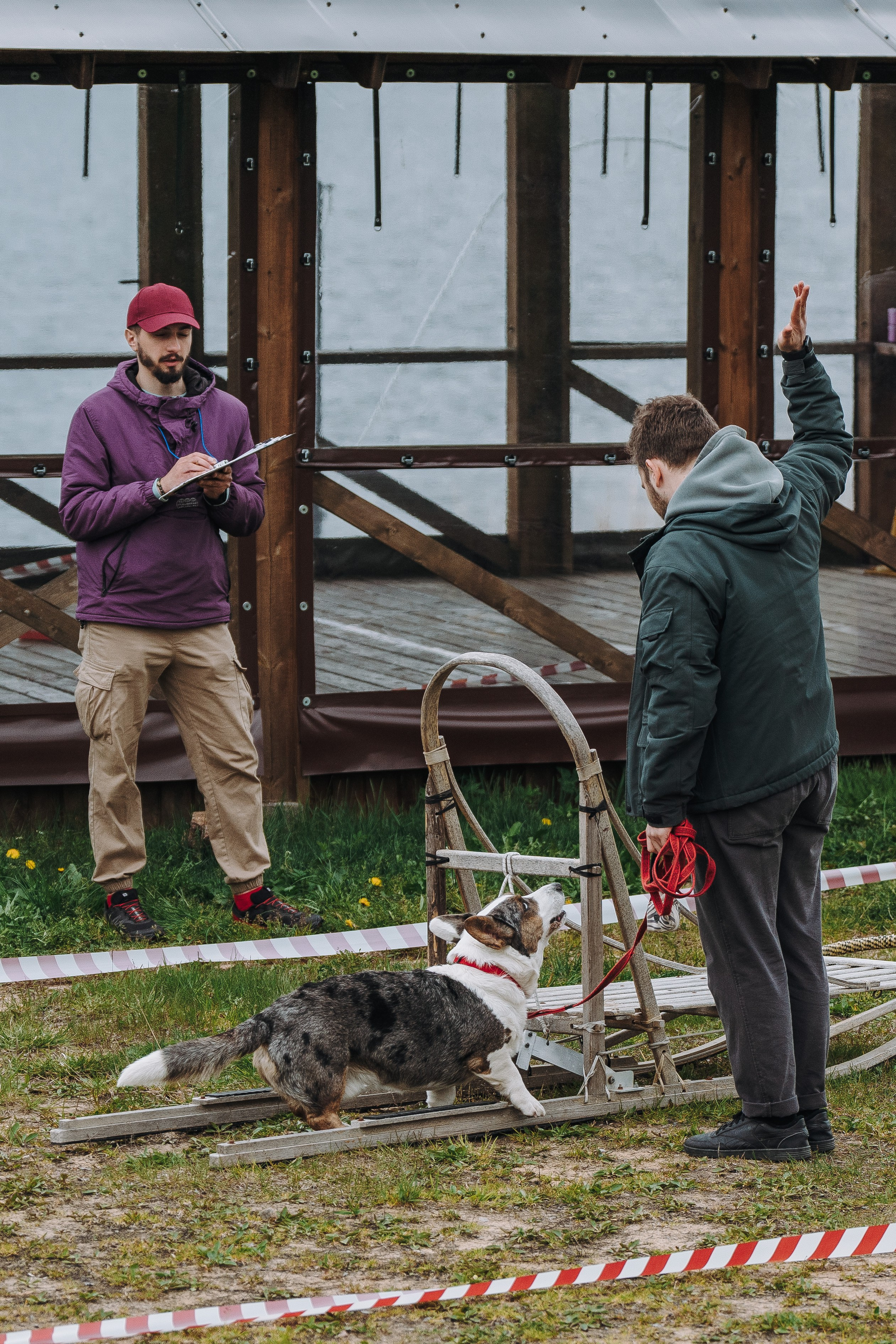 Соревнования по ноузворку в Лосево. Фотограф анималист в Спб недорого Олеся Майорова