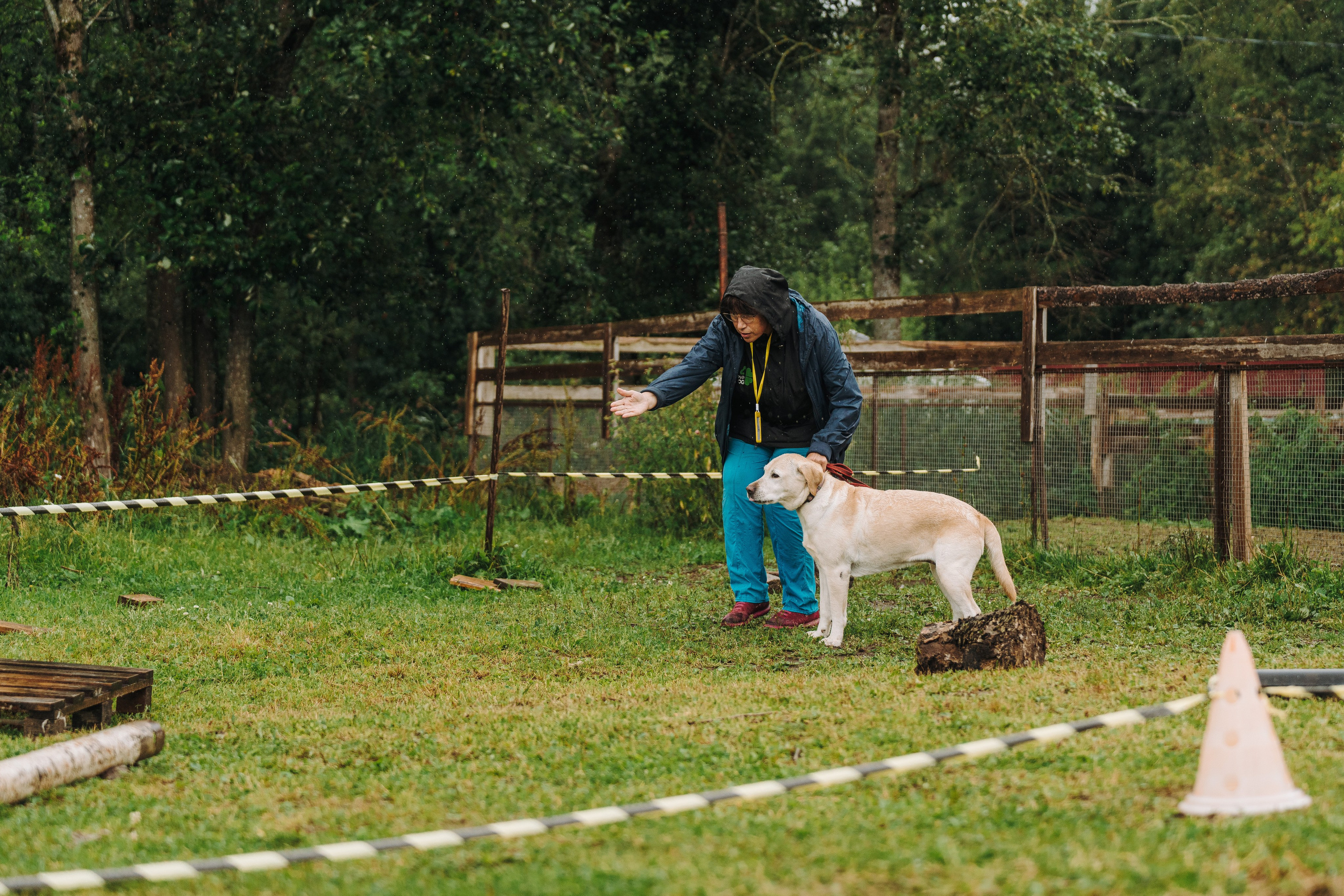 Соревнования по ноузворку в Новожилово. Фотограф анималист в Спб недорого Олеся Майорова
