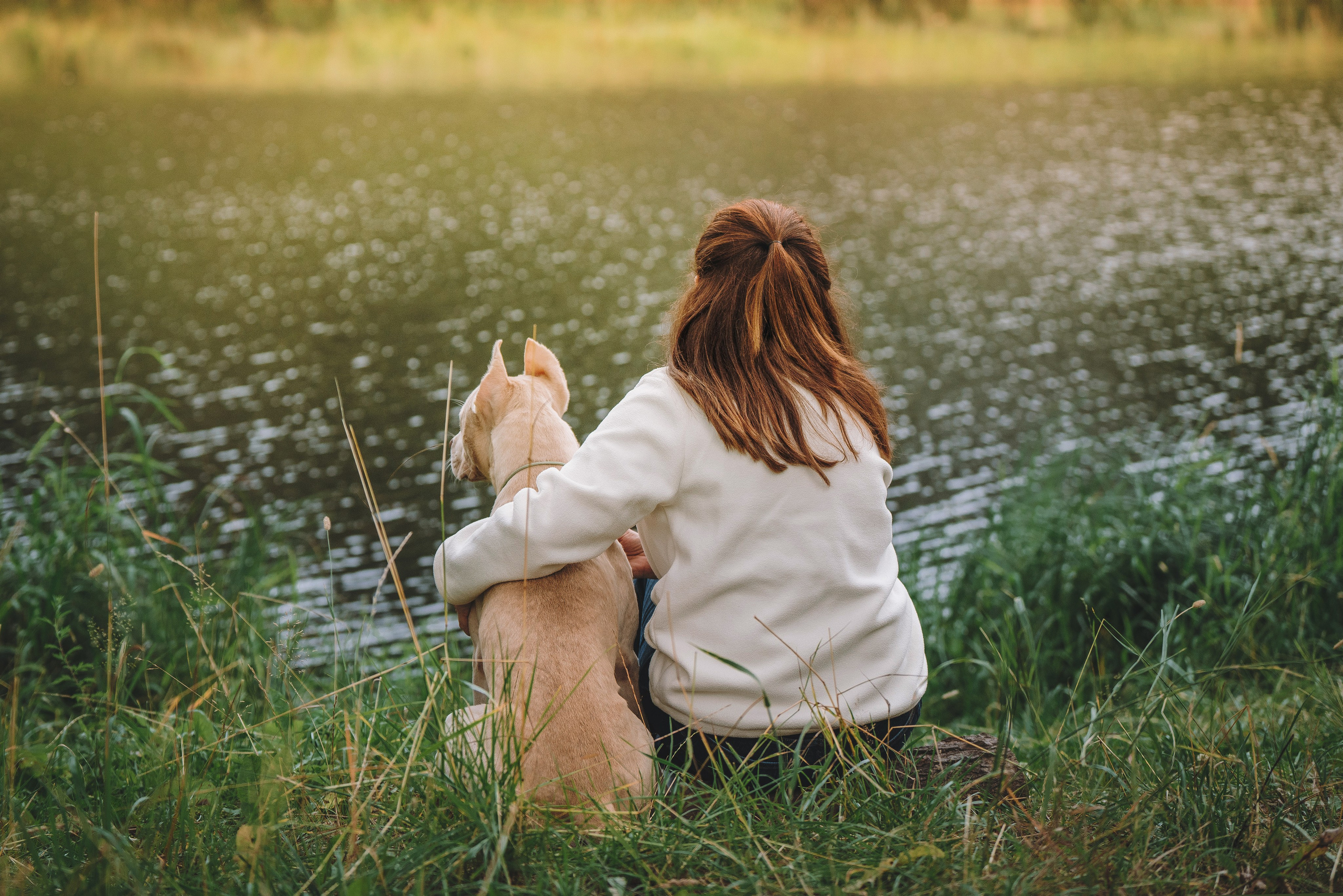 Оля и Гламур. Фотограф анималист в Спб недорого Олеся Майорова
