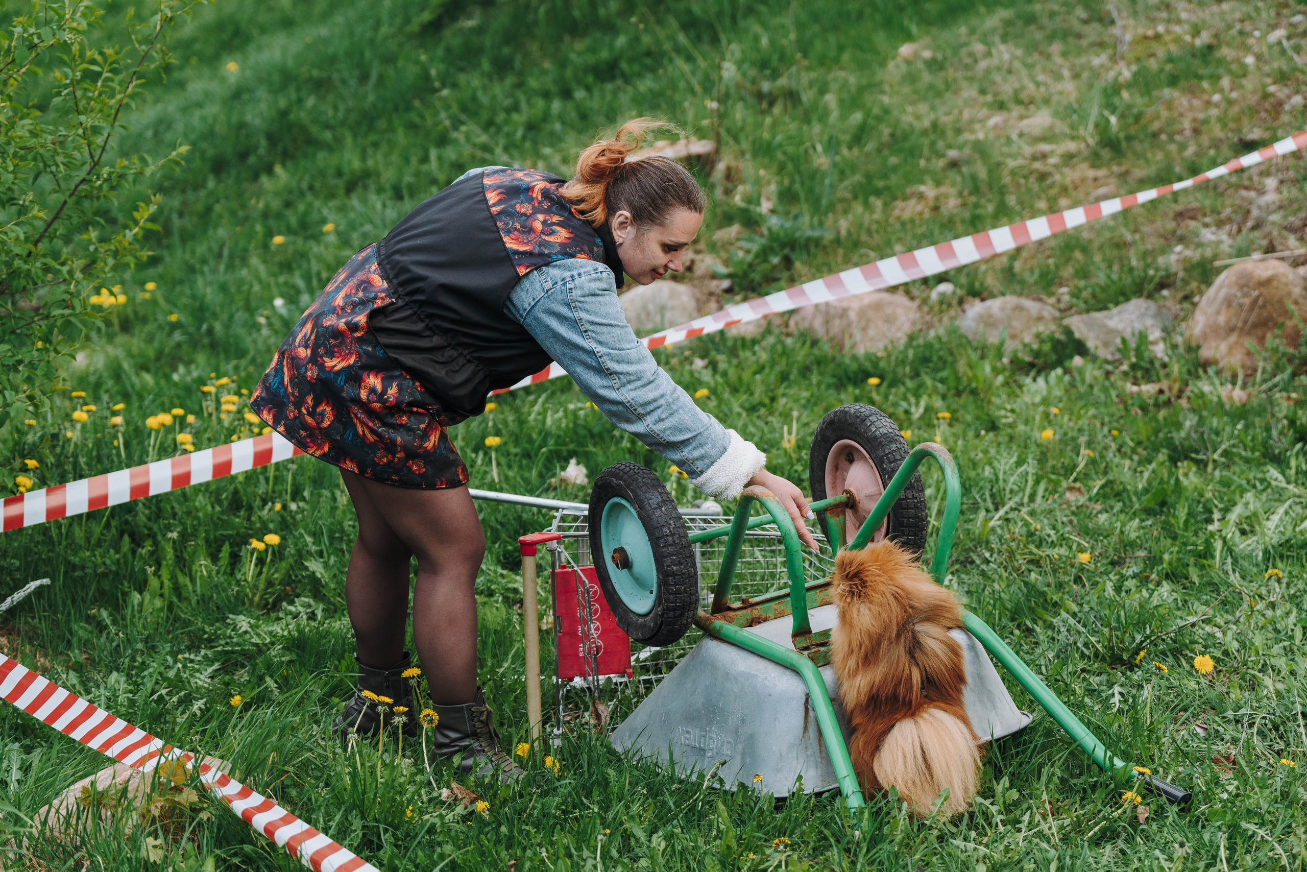 Соревнования по ноузворку в Лосево. Фотограф анималист в Спб недорого Олеся Майорова