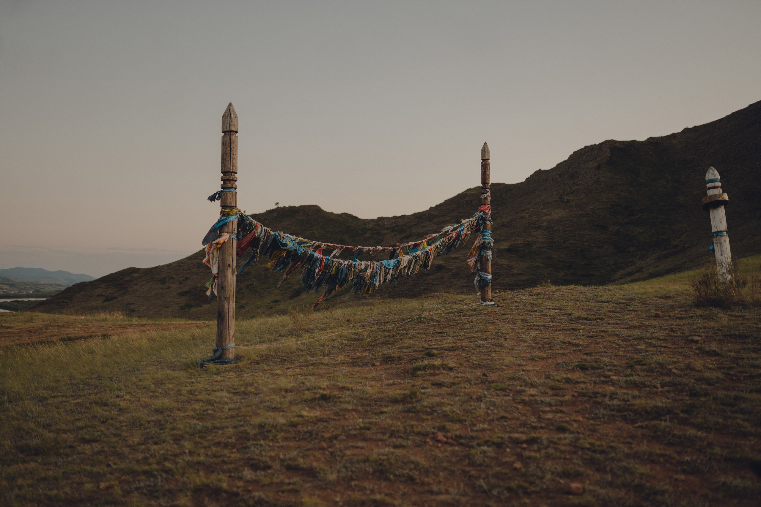 Настя и Умка. Фотограф анималист в Спб недорого Олеся Майорова