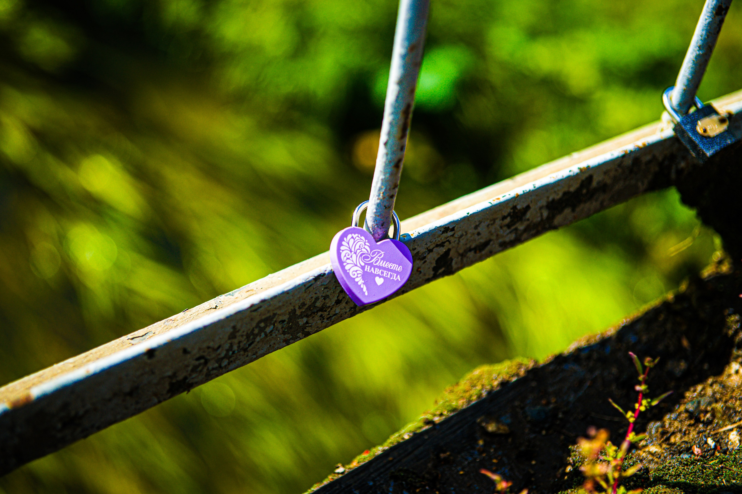 свадебный фотографсемейный фотограффотографы свадебдетский фотографцена фотографизвестные фотографылучшие фотографыфотографы сайтыфотограф невестасвадьба фото фотографовдень свадьба фотограффотограф венчаниефотограф в загсwedding фотографызнаменитые фотографыуслуги профессионального фотографауслуги фотографа ценысайты профессиональных фотографовфотограф свадьбы цены