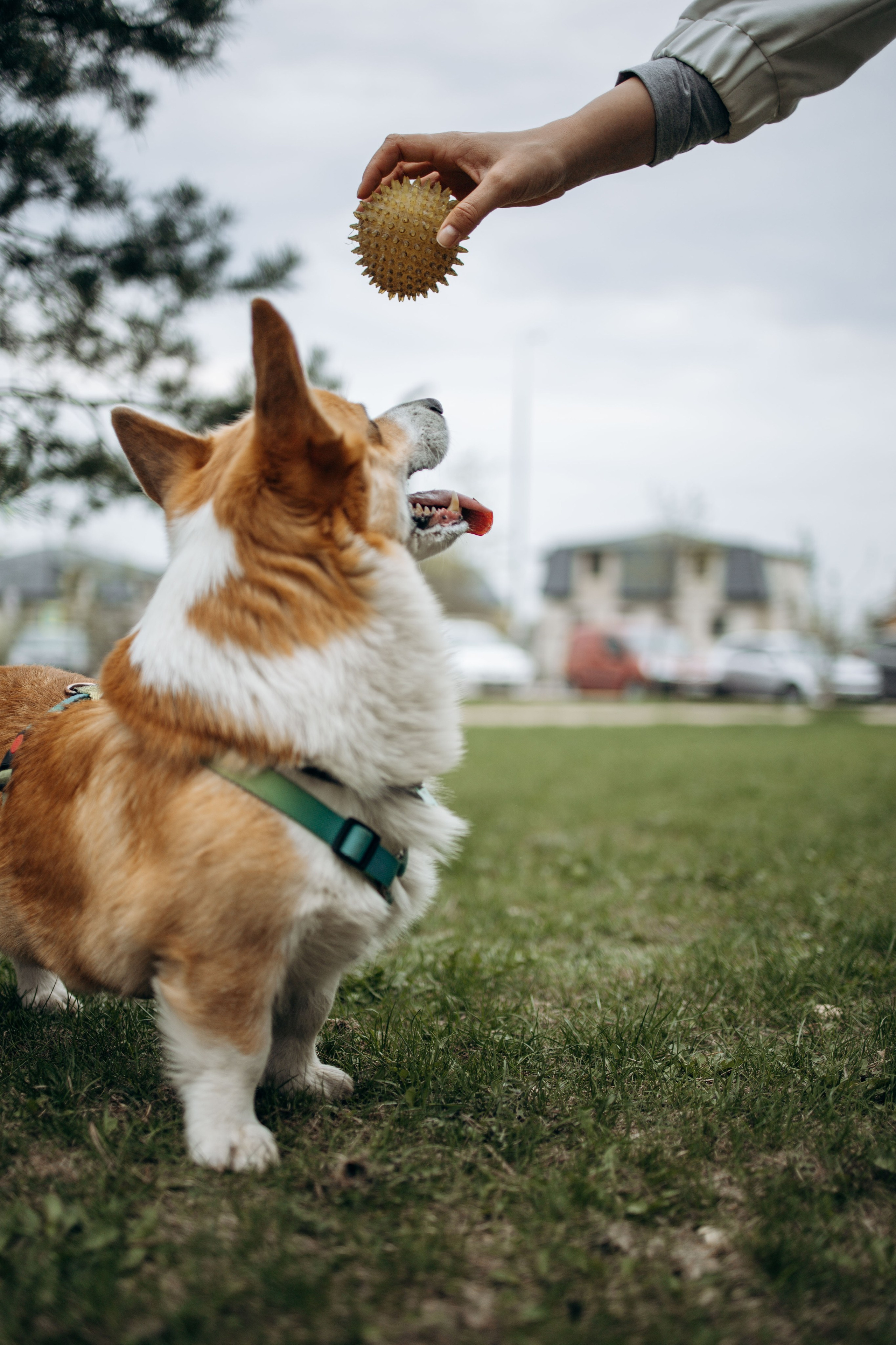 Екатерина и Альфи