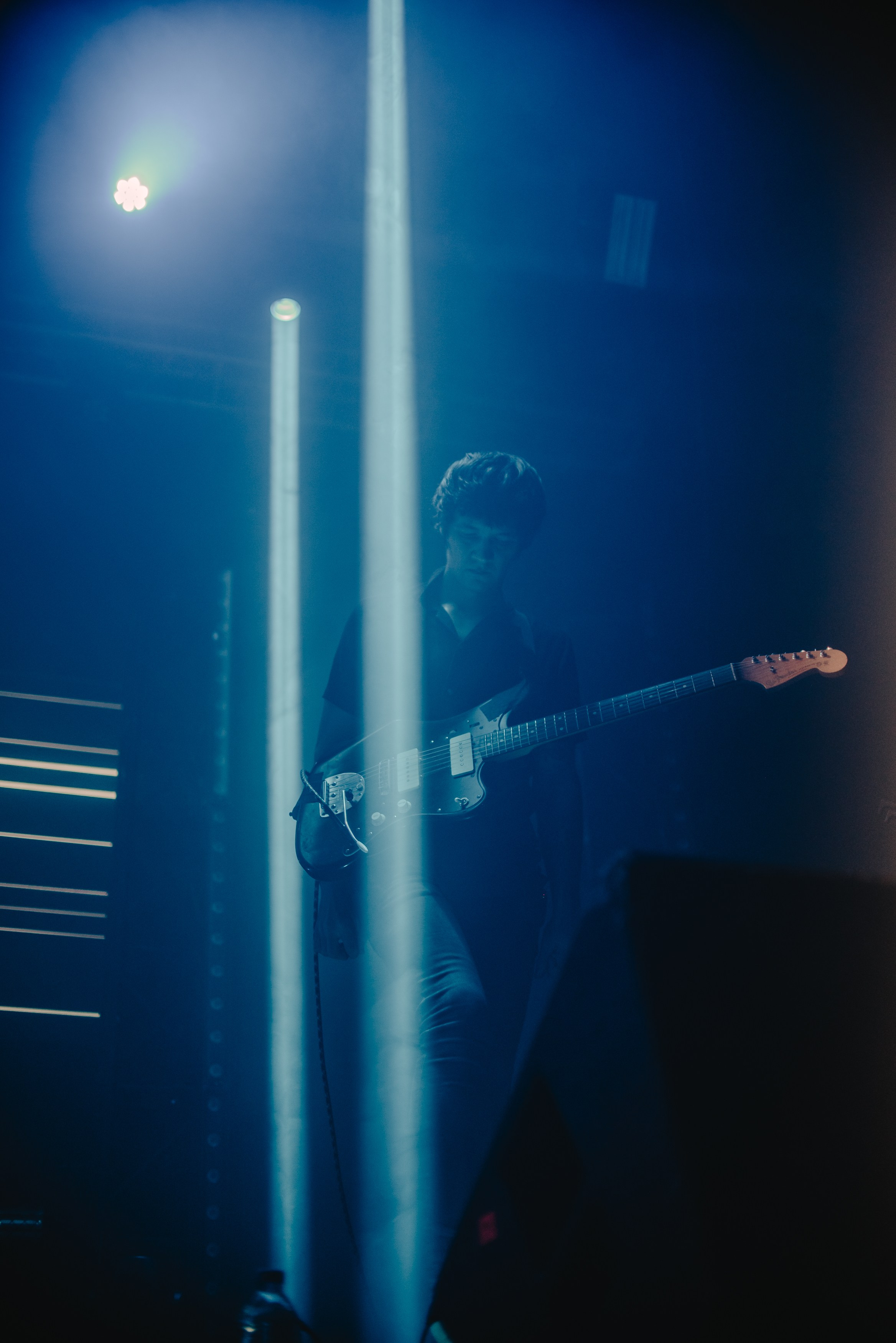 Дельфин | Gaudi. Контент фотограф Илья Урс