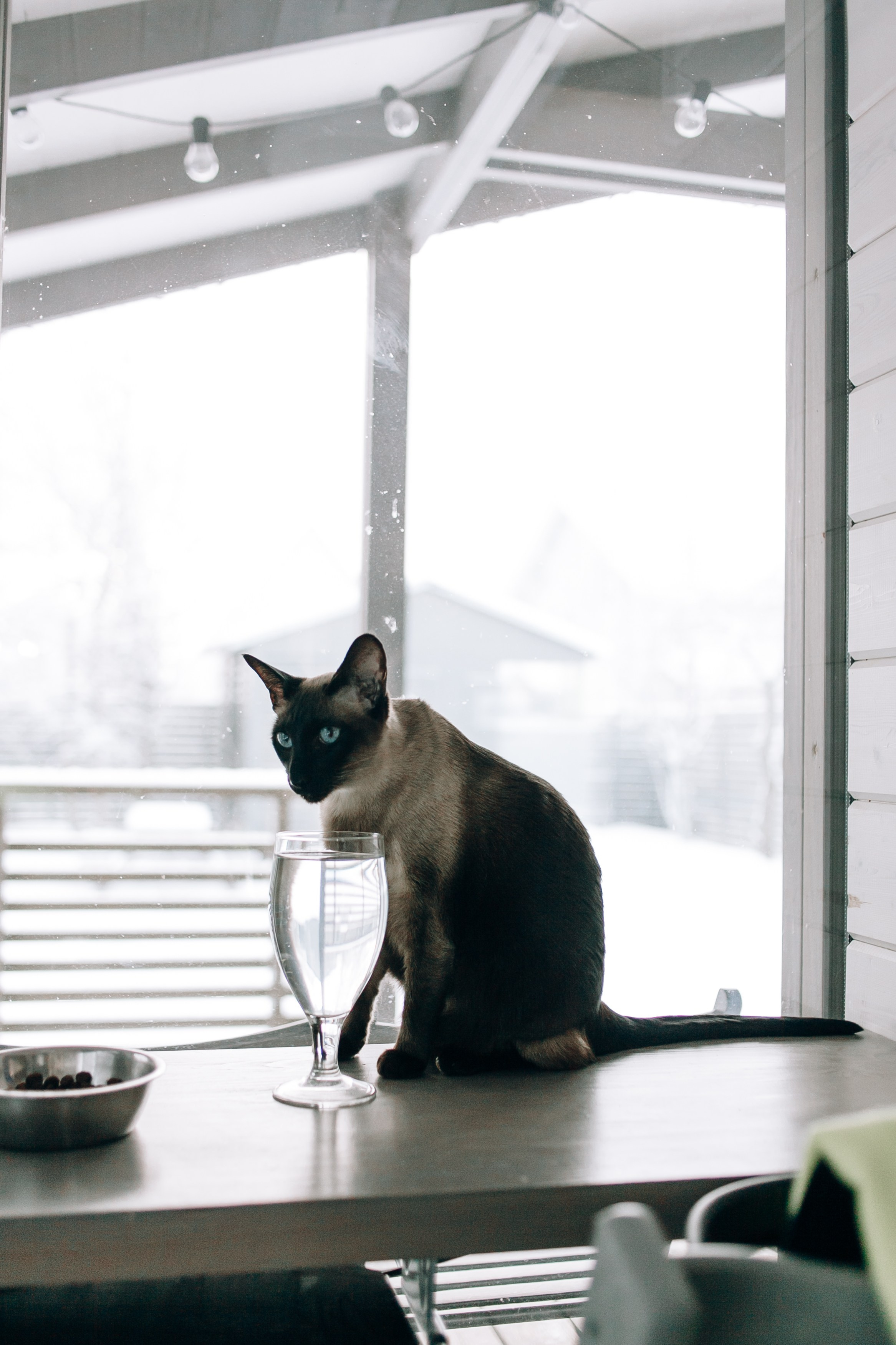 Семья. Зима. Семейный фотограф, свадебный фотограф, женский портрет в Санкт-Петербу