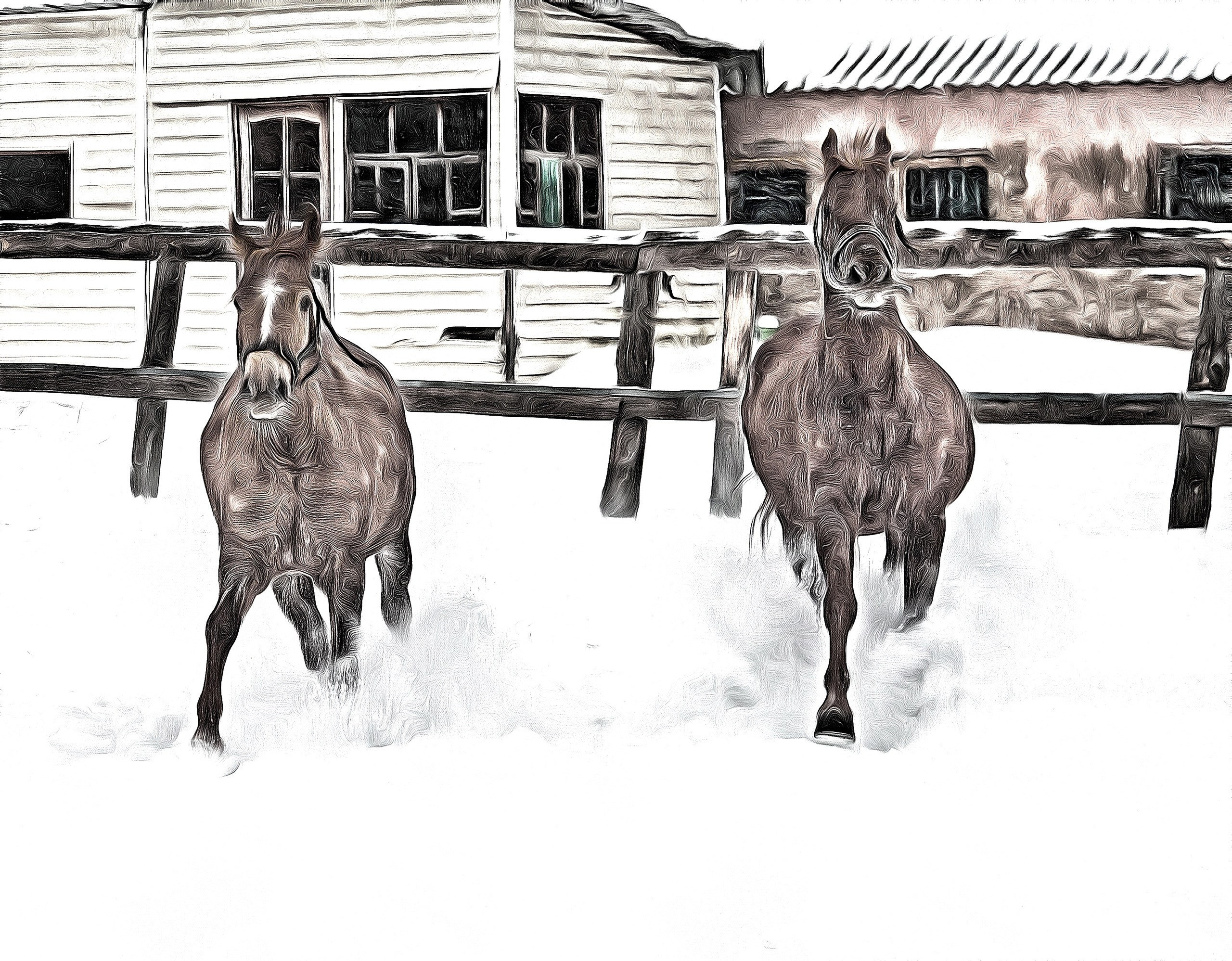 Творческие съёмки. Профессиональный фотограф Евгений Расторгуев