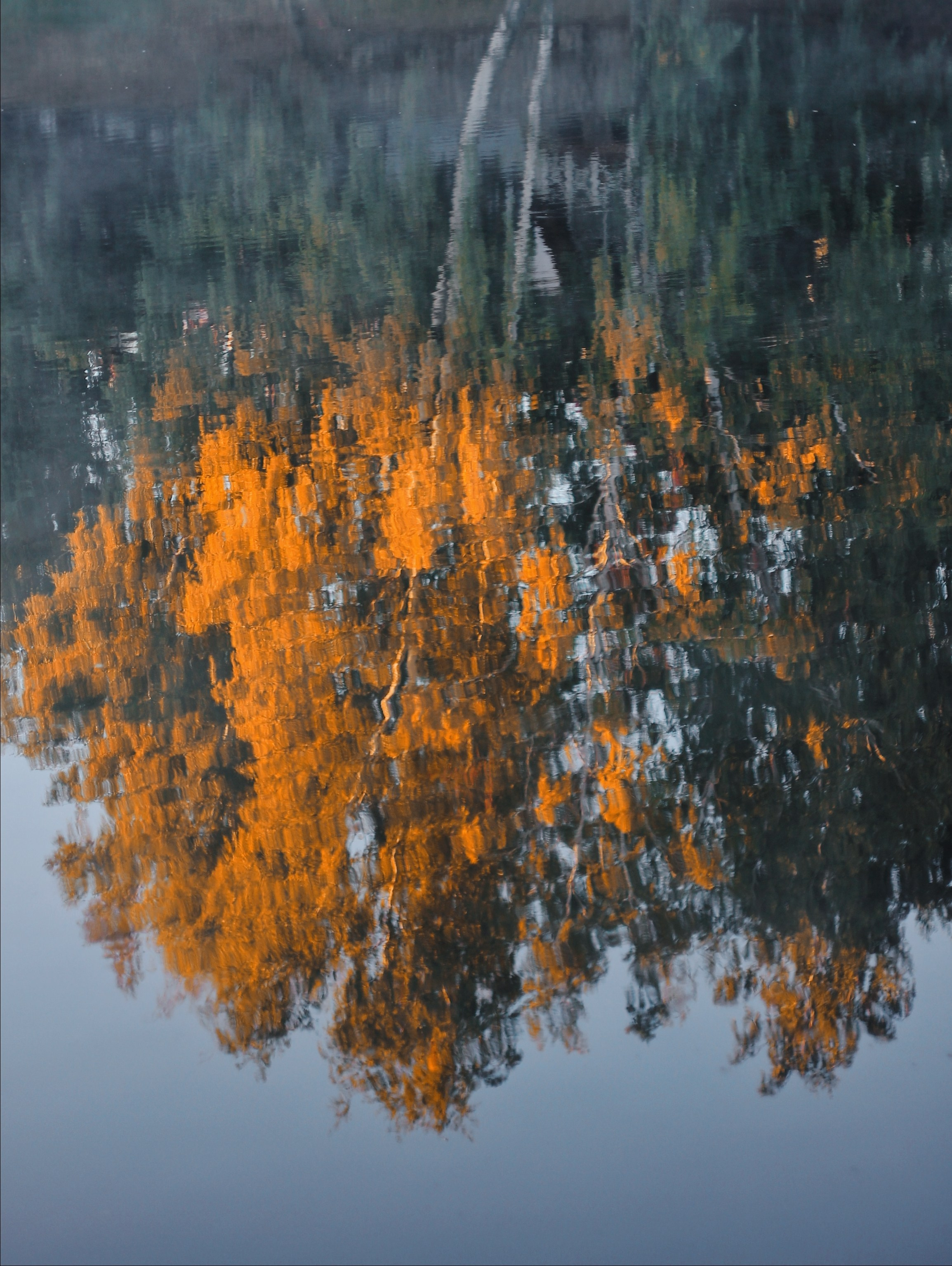 Эфемерность моментов. С любовью, фотохудожник
