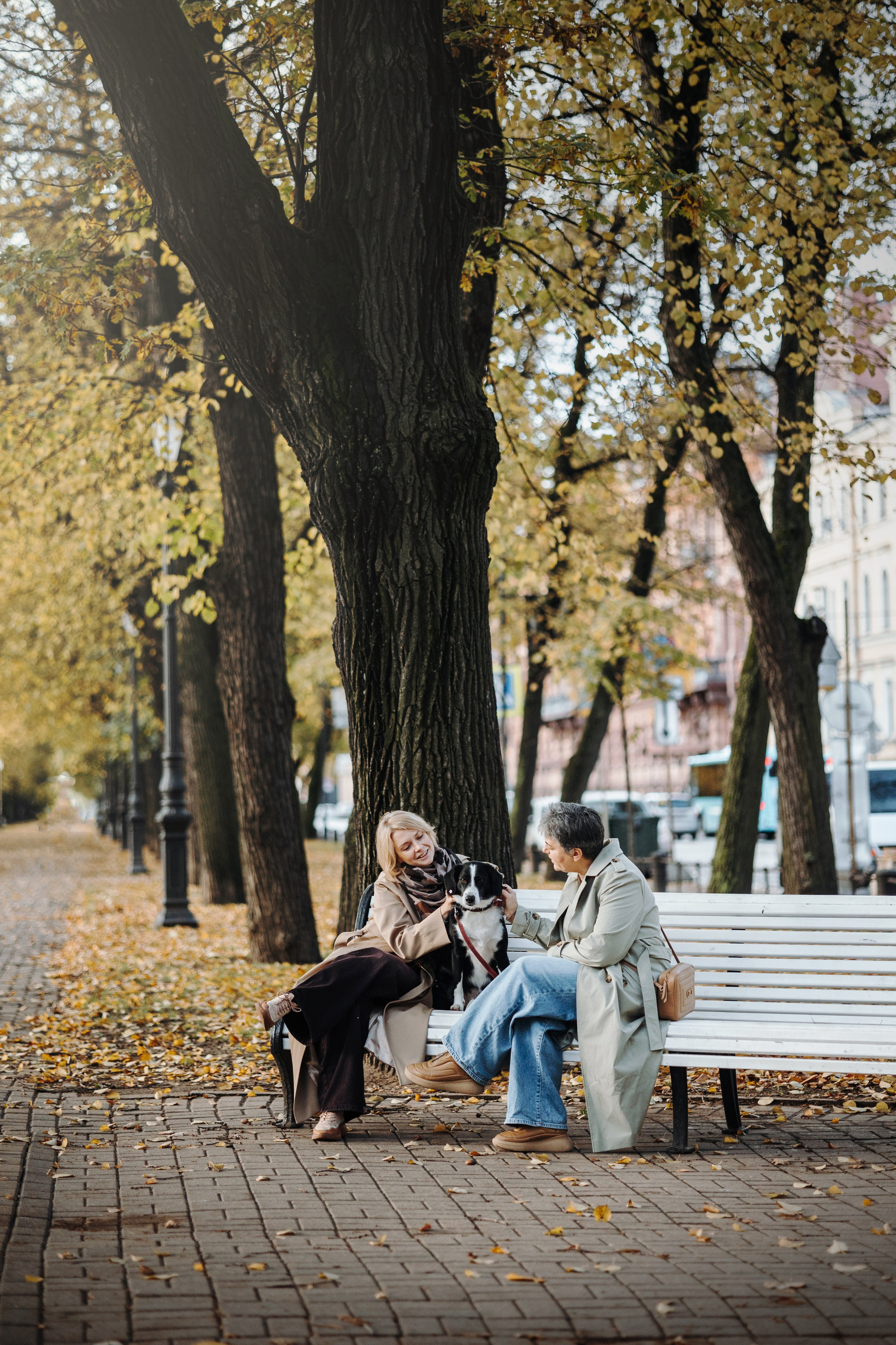 Мишель и ее семья. Фотограф — Анималист | Санкт-Петербург