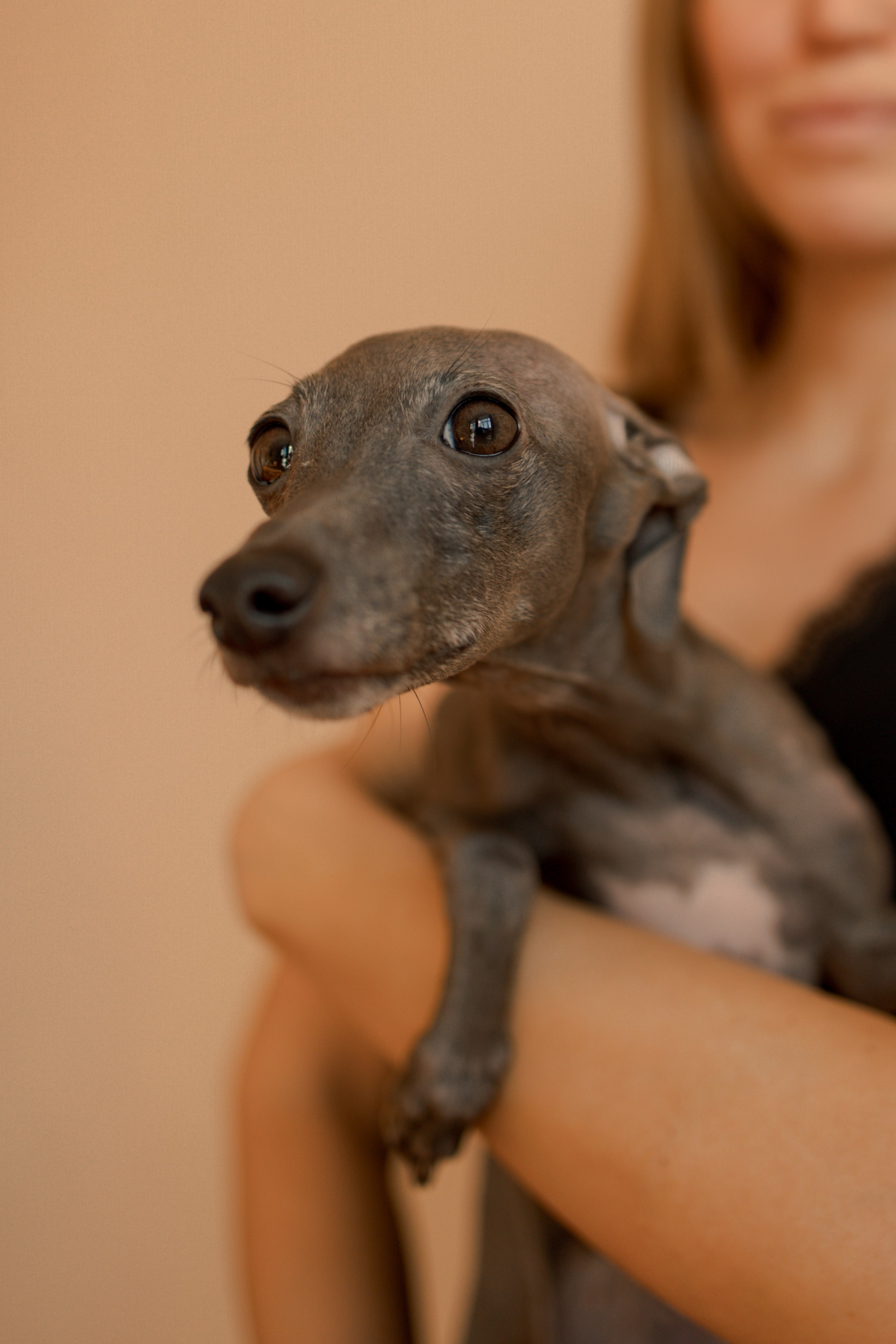 Ксюша и Луна. Фотограф — Анималист | Санкт-Петербург