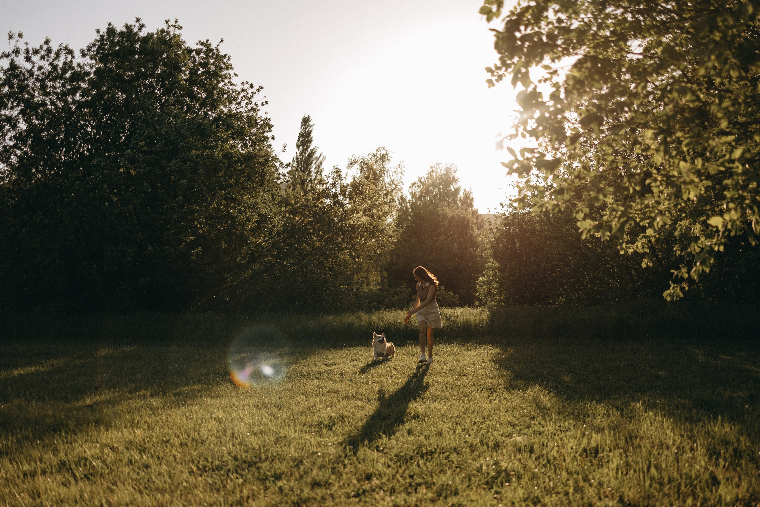 Кристина и Шелби. Фотограф — Анималист | Санкт-Петербург