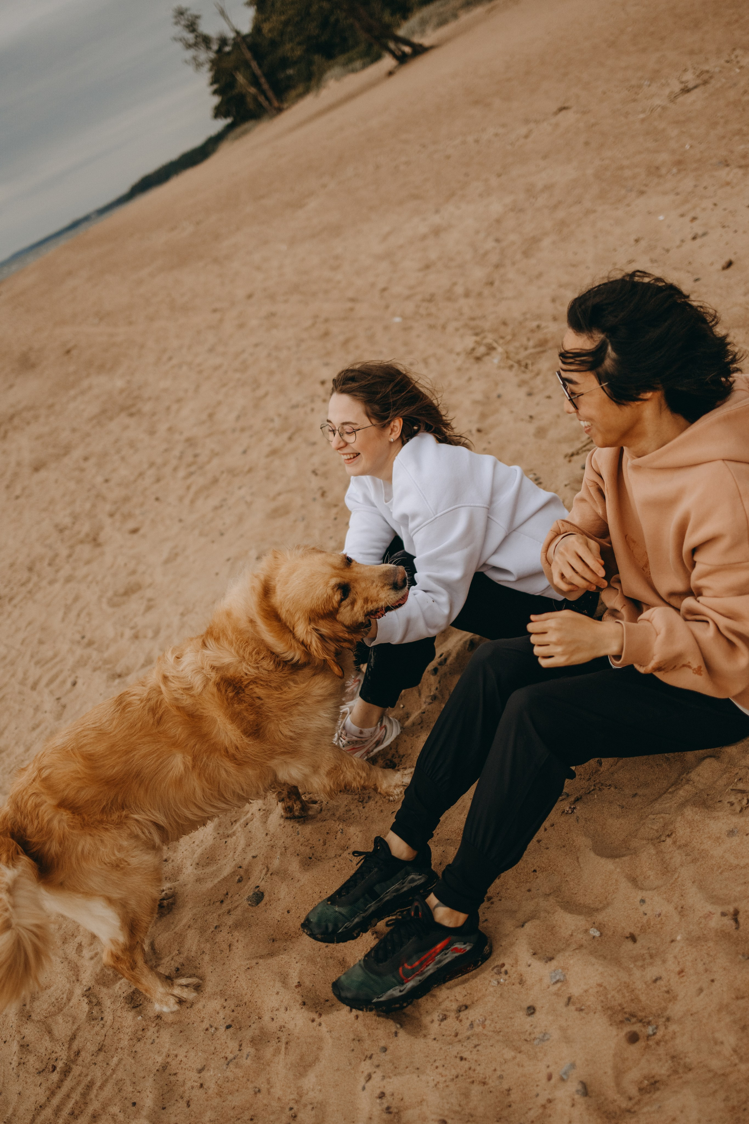 Фоси и его семьи. Фотограф — Анималист | Санкт-Петербург