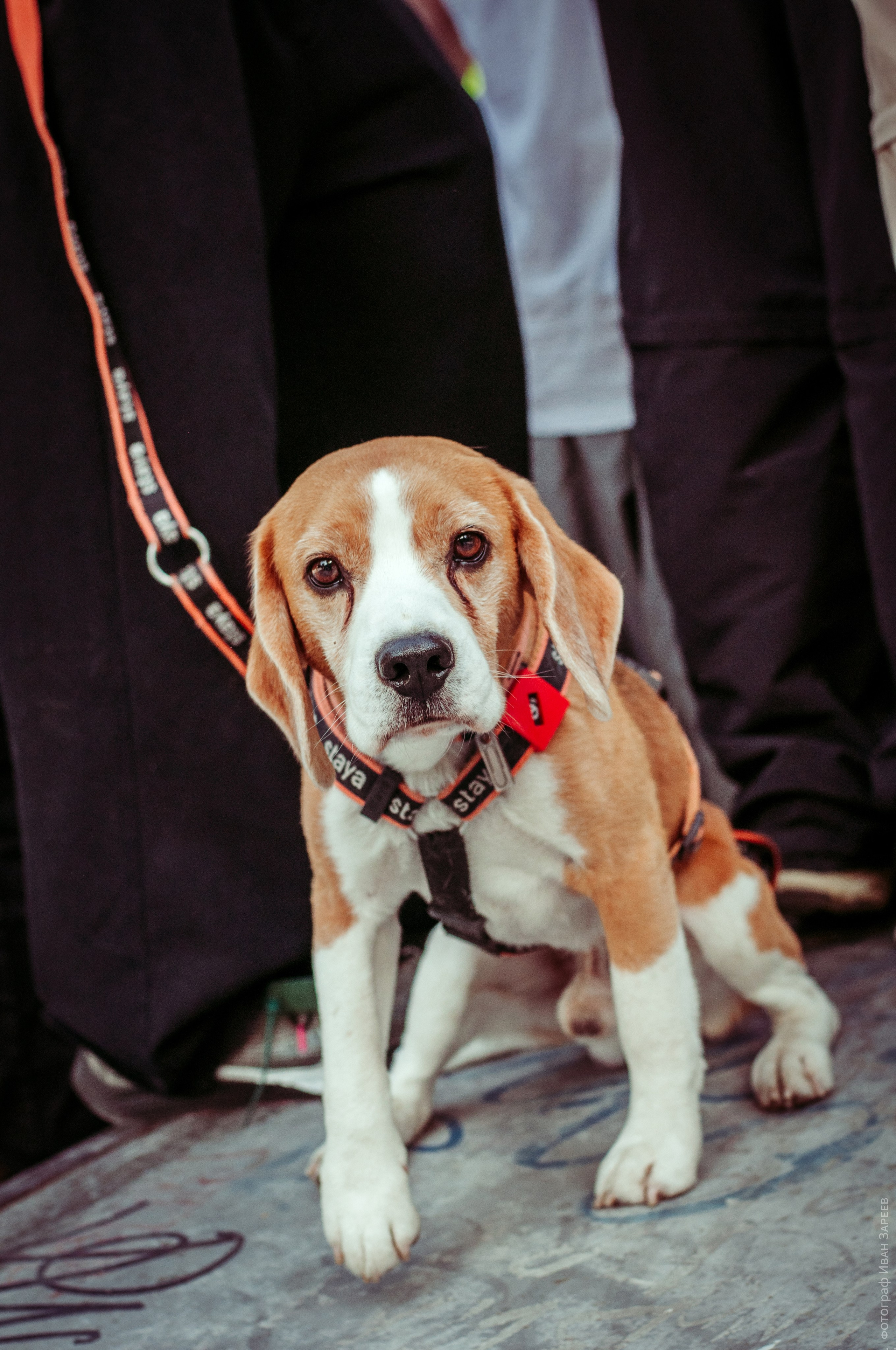 Граффити и брейкинг. Репортажный фотограф в Симферополе Зареев Иван