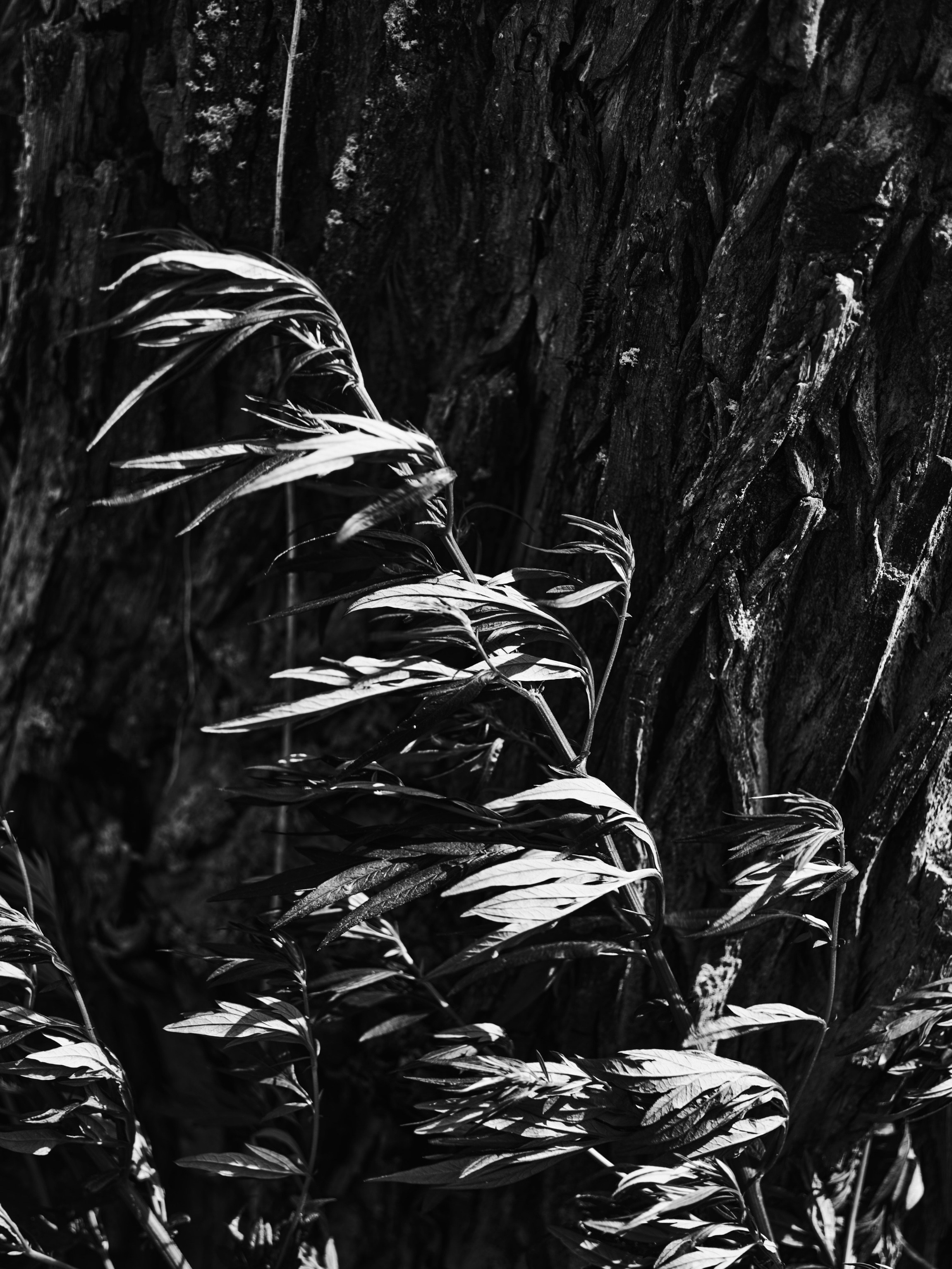 Фотограф Юлия Глазкова