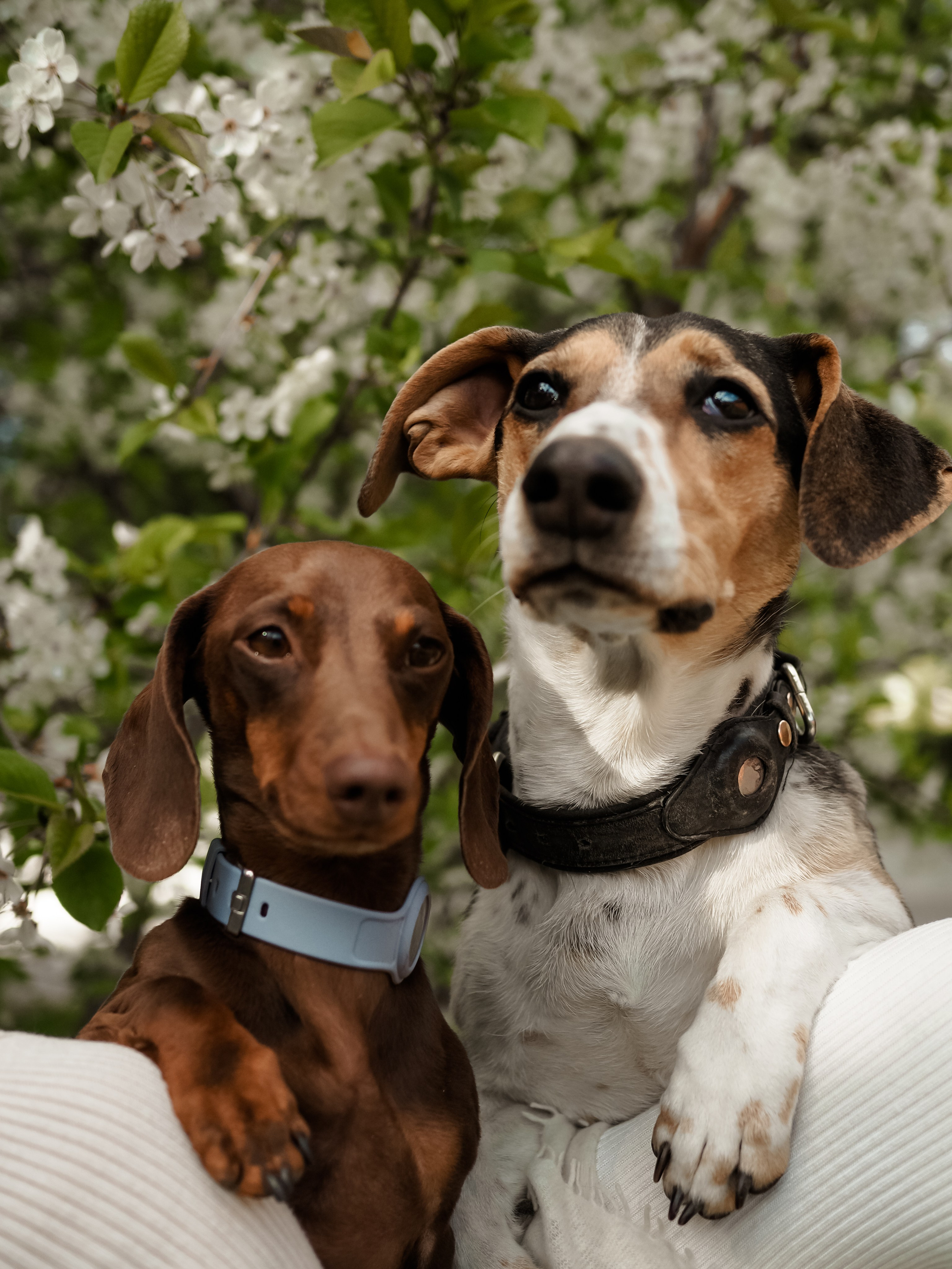 История. Фотограф Рязань. Семейный Свадебный фотограф