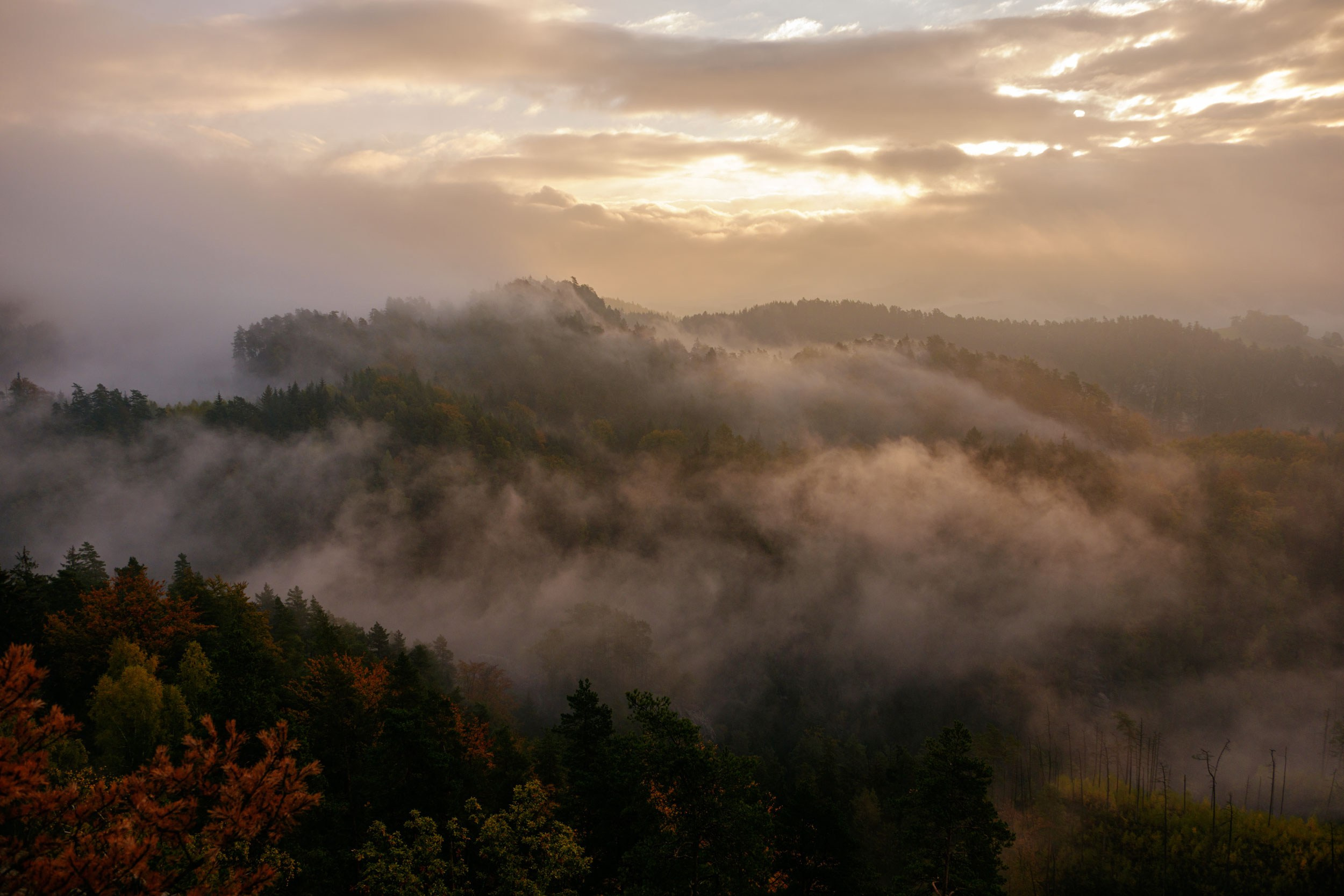 Фотографии для интерьера. Oleg Samoilov is a documentary photographer for brands that value an honest story