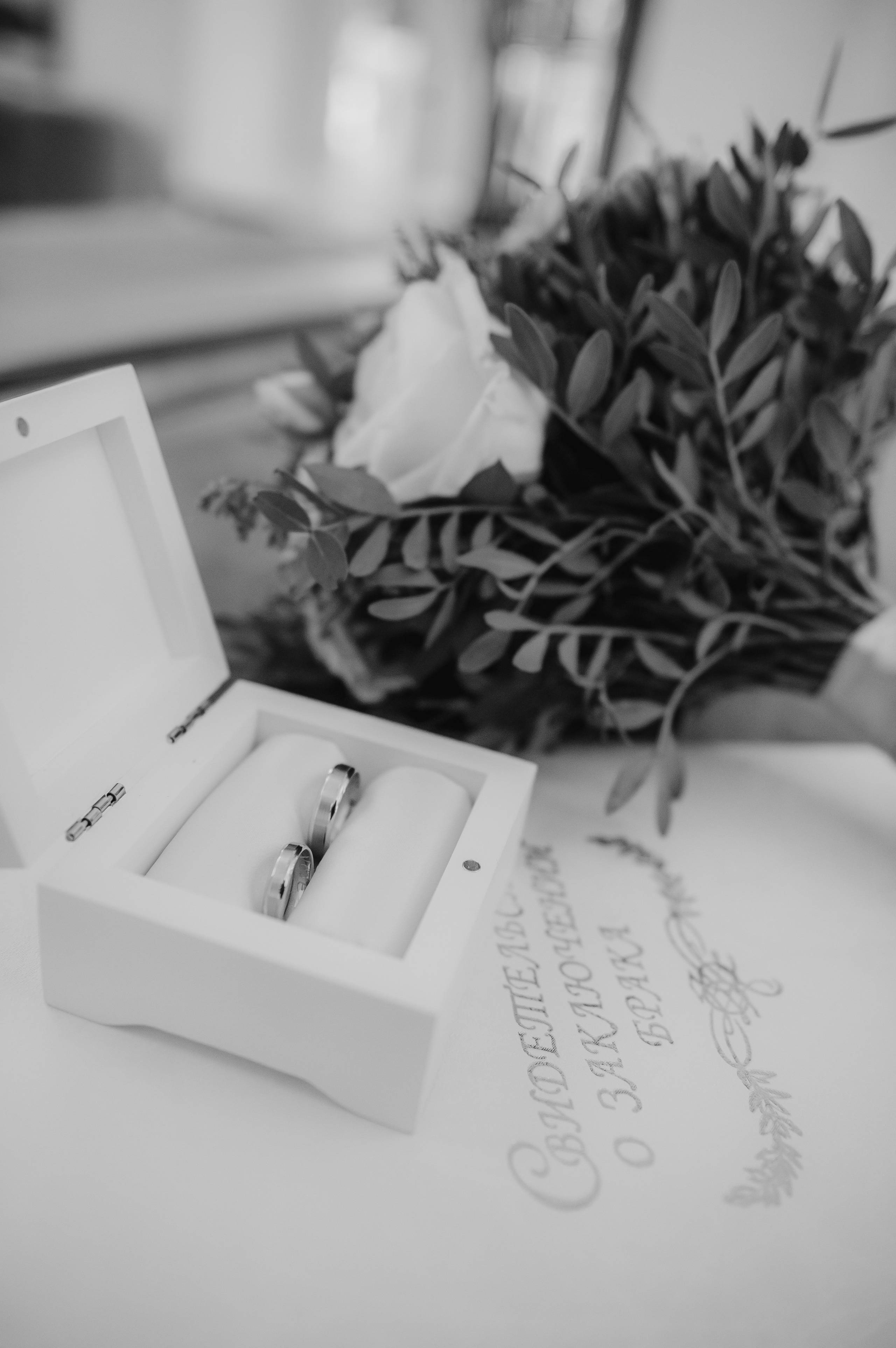 Екатерина и Валентин, 2024. Анна Пушина, фотограф, Москва, Королев, Пушкино