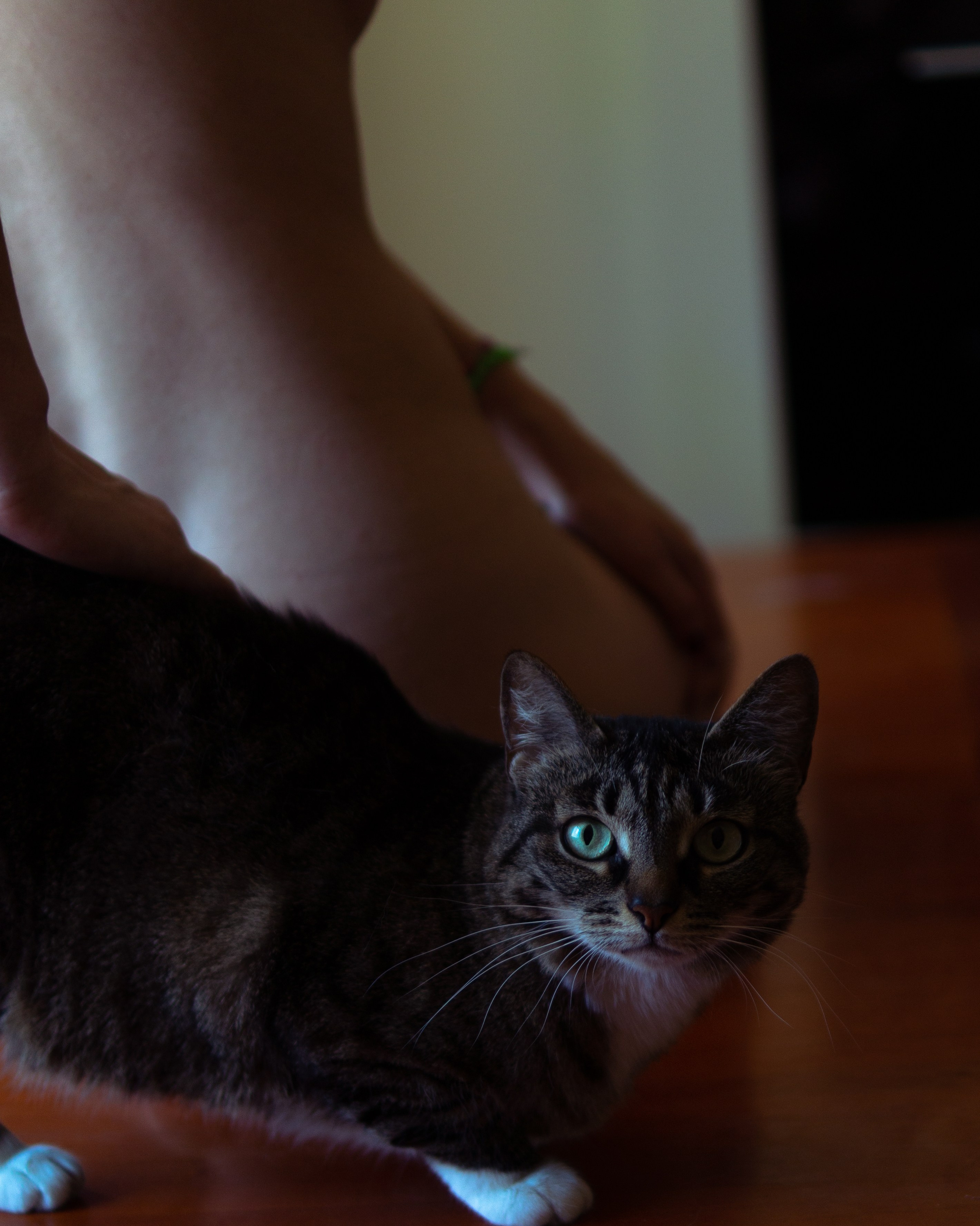 Свет и Только. Фотограф Париж / Photographer Paris