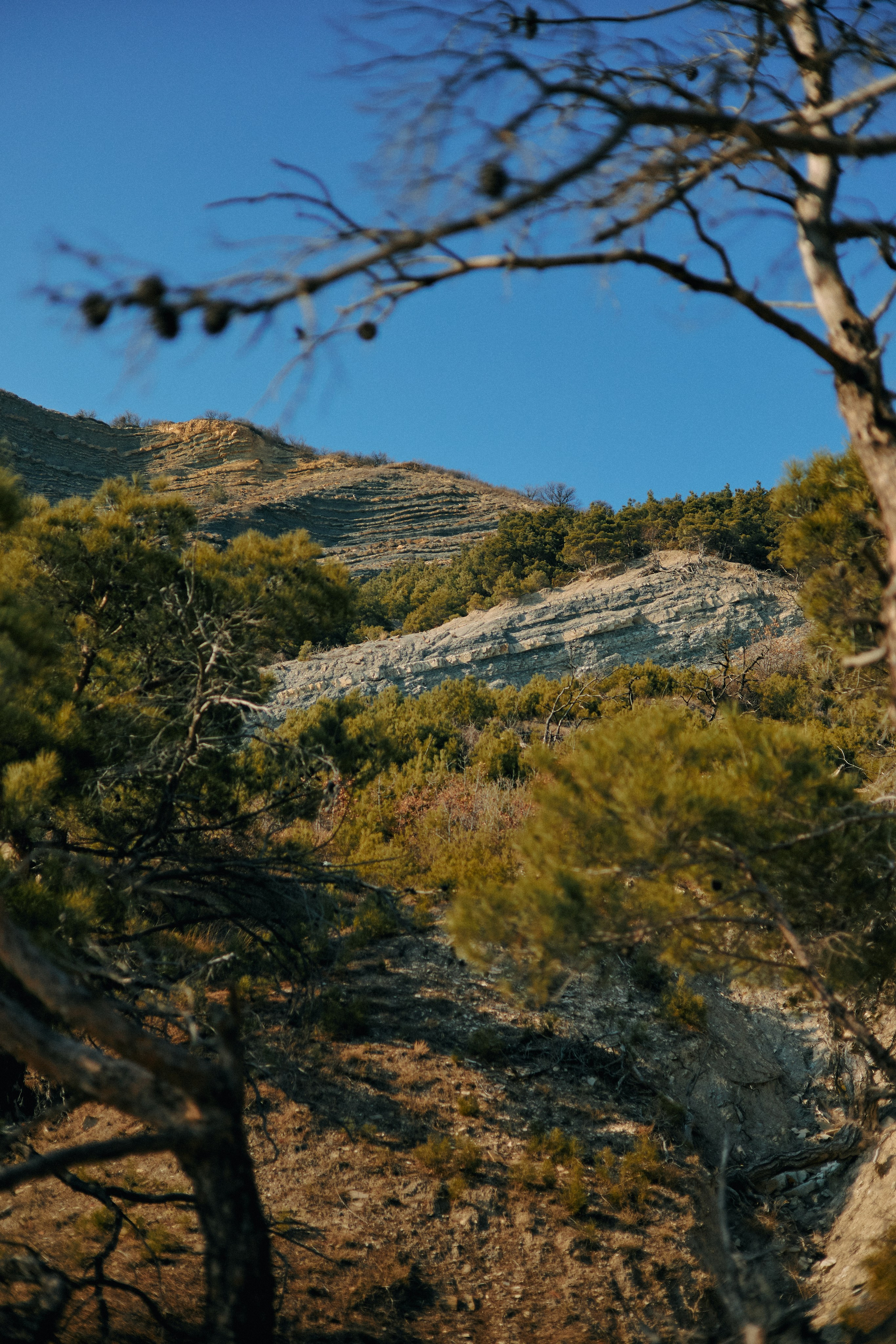 Юг России. Профессиональный Фотограф во Владимире, в Москве и в Суздале — Полина Романычева
