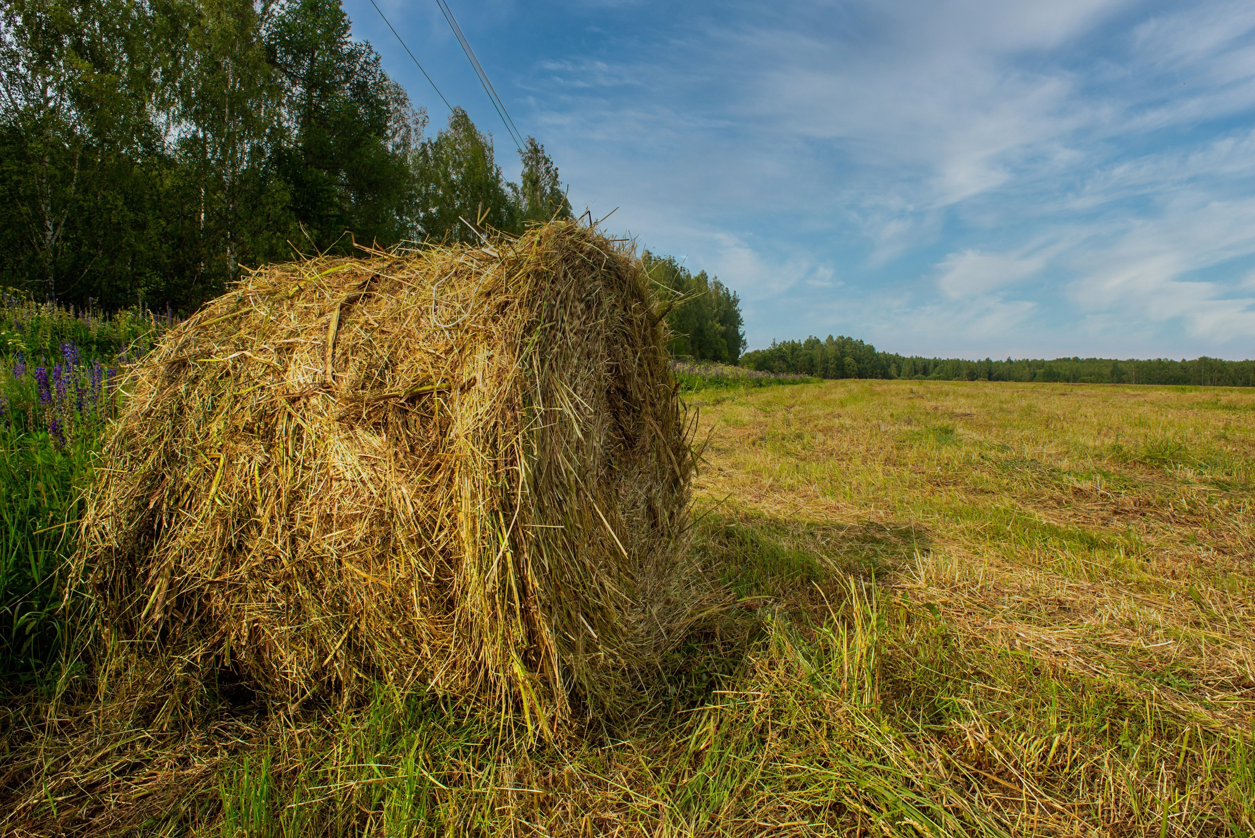 Творческие съёмки. Профессиональный фотограф Евгений Расторгуев
