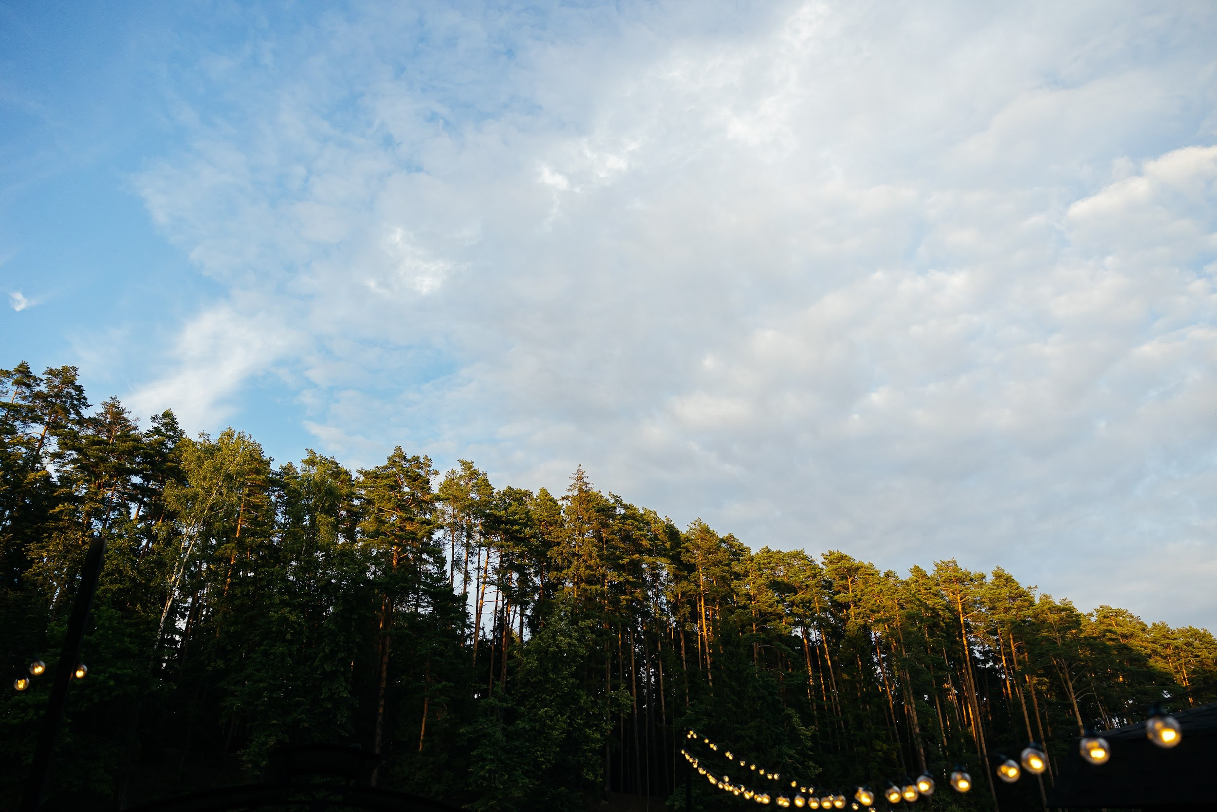 День рождения Аси. Агентство по организации мероприятий