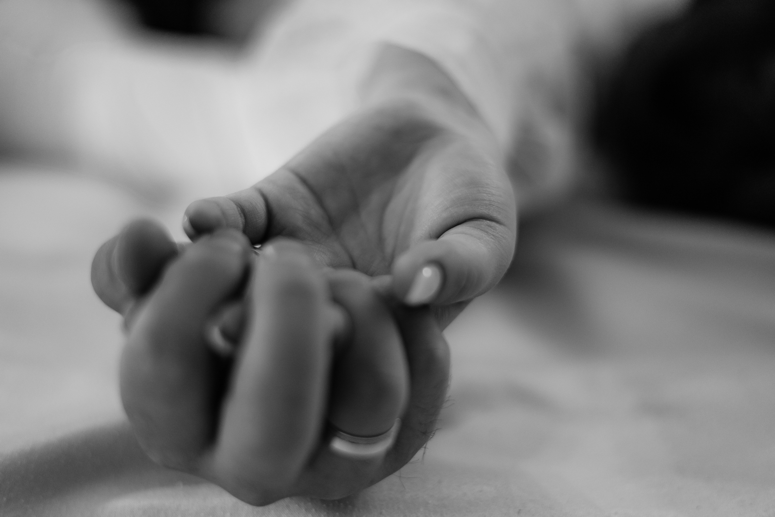 Свадьбы. Фотограф Elen S в Новосибирске