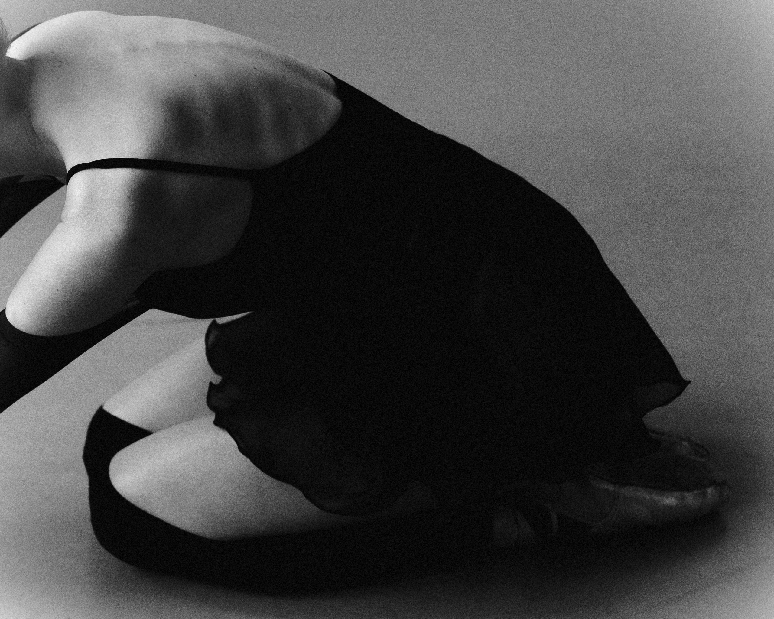 PROJECT BALLET DANCER. Alinsmv