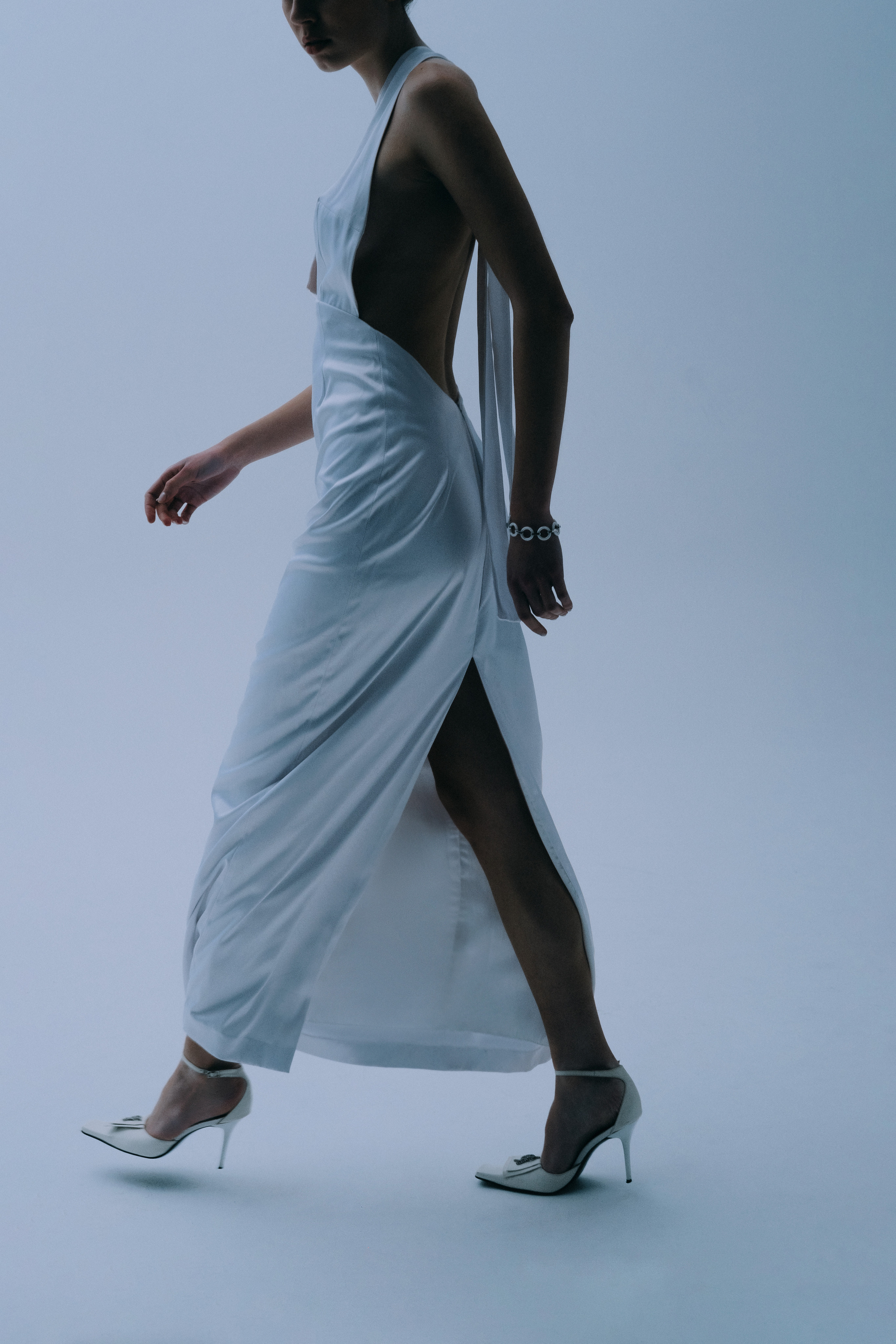 PROJECT BALLET DANCER. Alinsmv