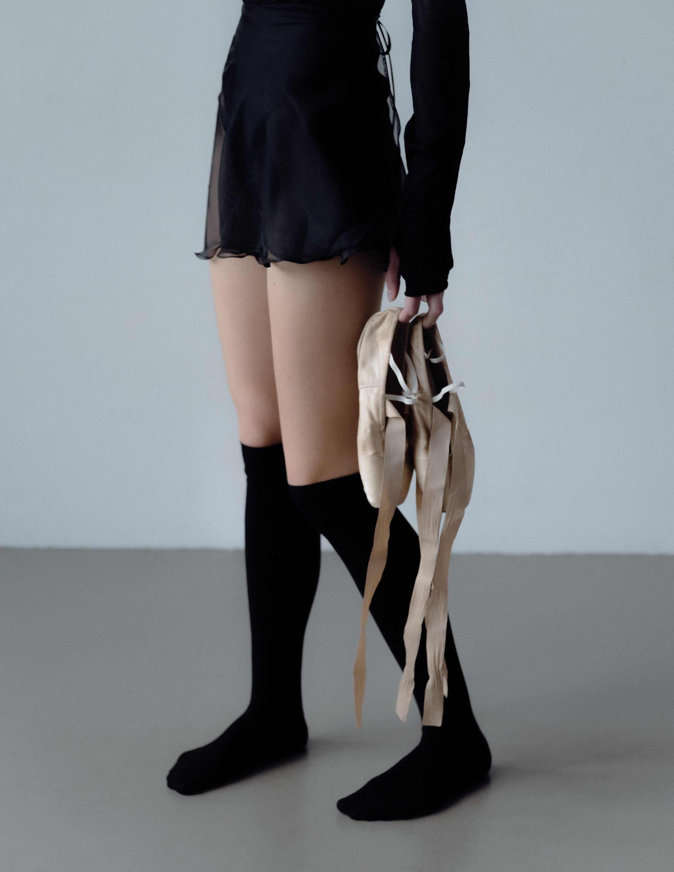 PROJECT BALLET DANCER. Alinsmv