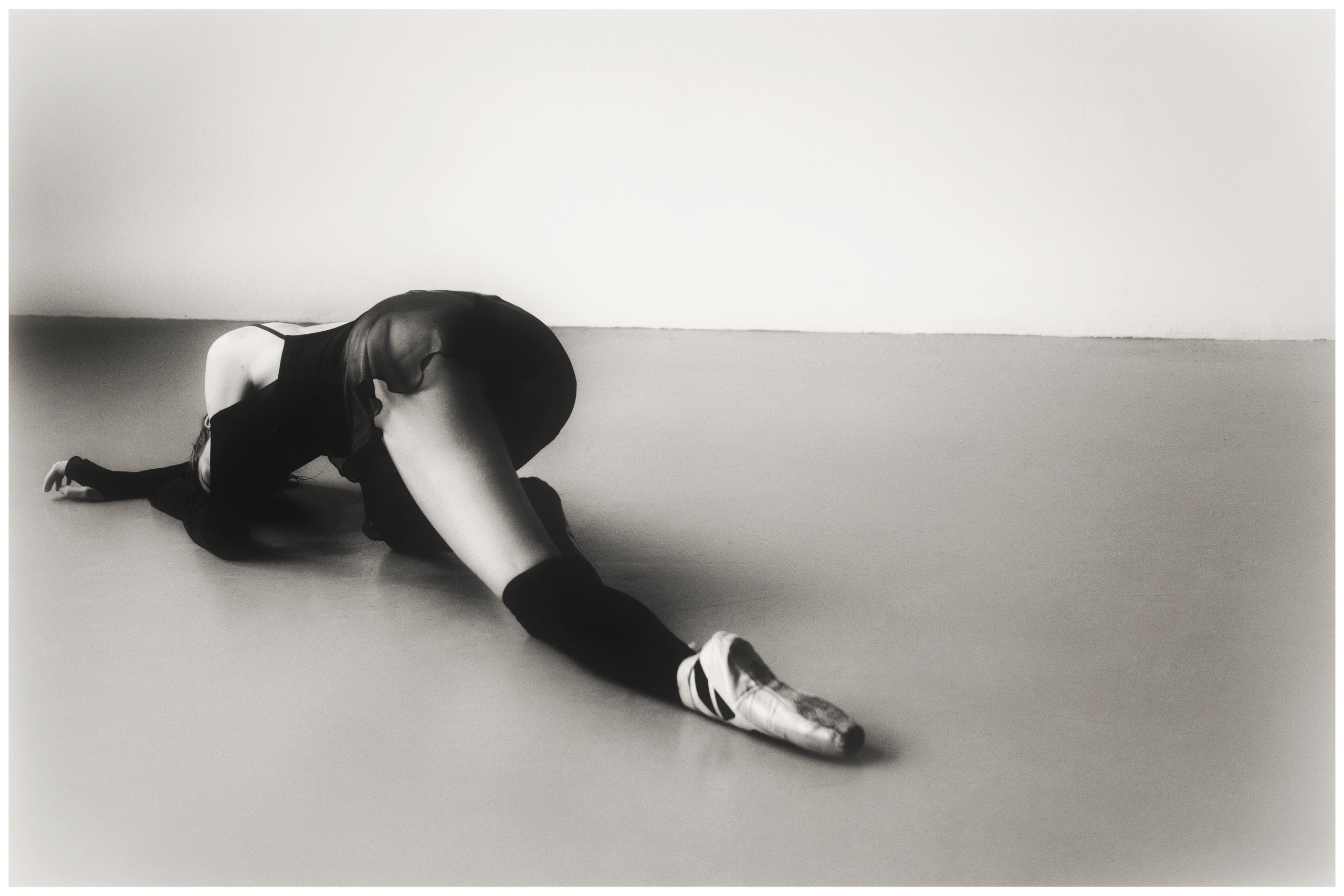 PROJECT BALLET DANCER. Alinsmv