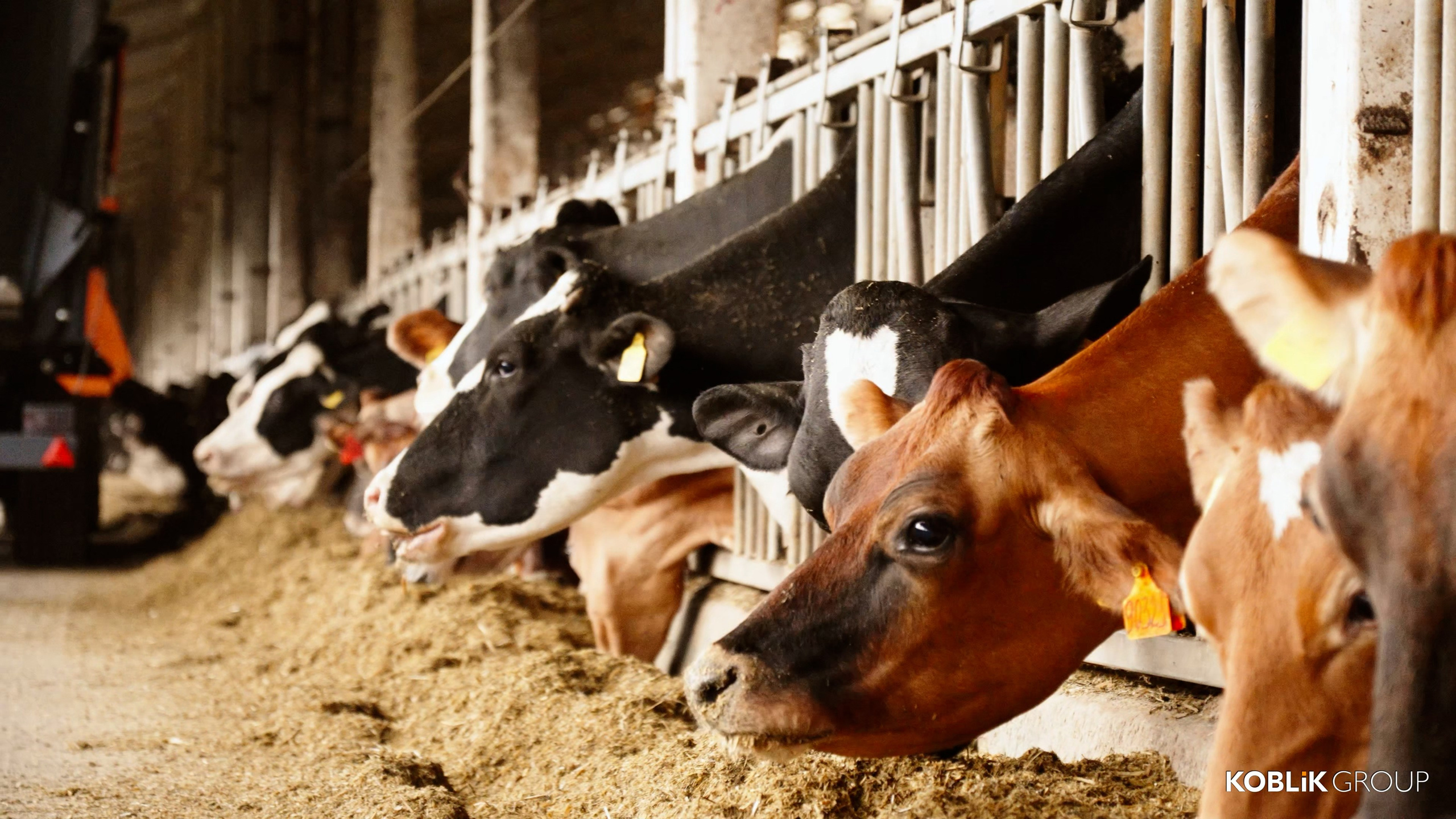 Фото и видео съемка мероприятий и бизнеса Воронеж