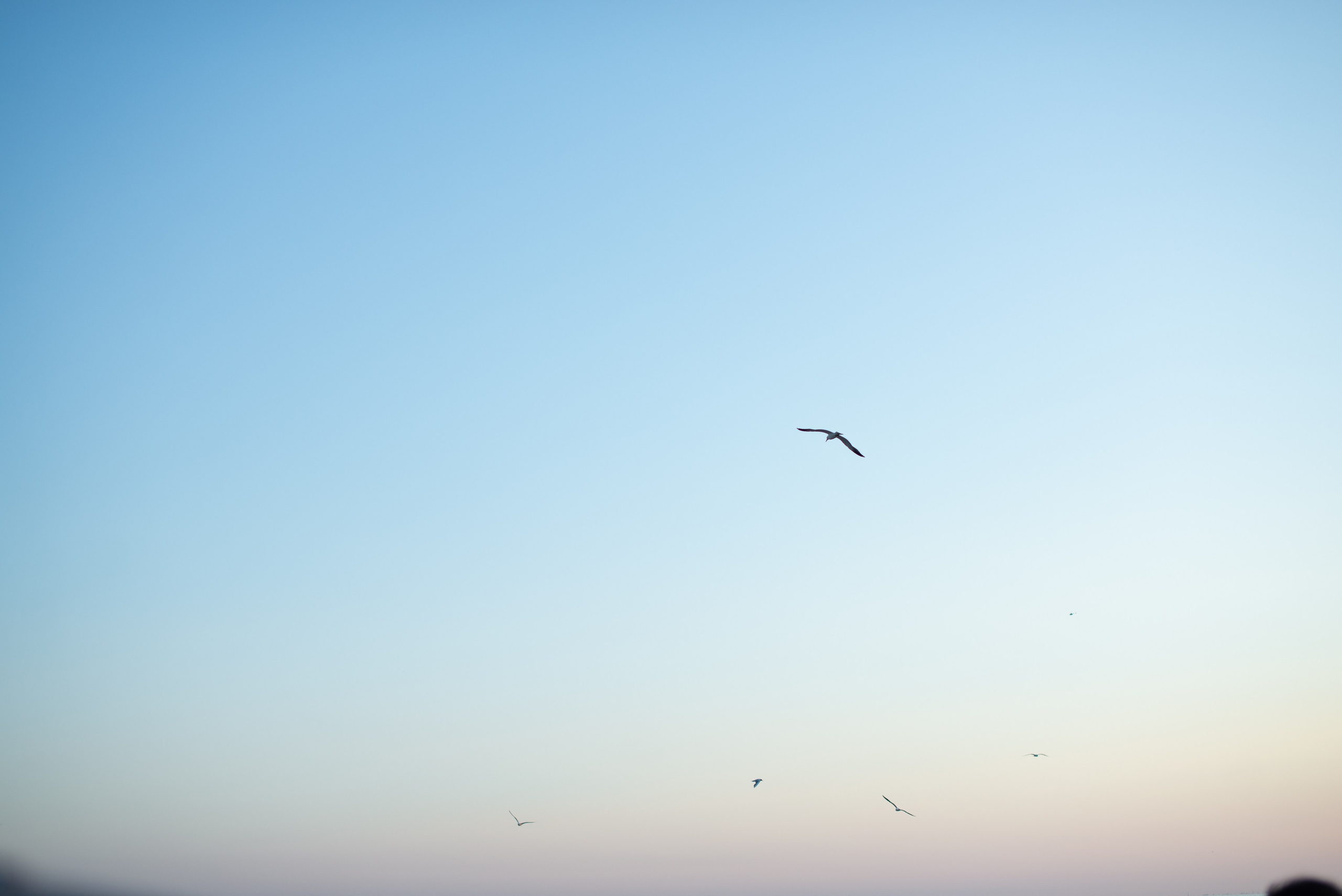Июнь–Июль Отпуск Белореченск, Геленджик. Семейный, Свадебный фотограф СПБ Питер— Романова Екатерина