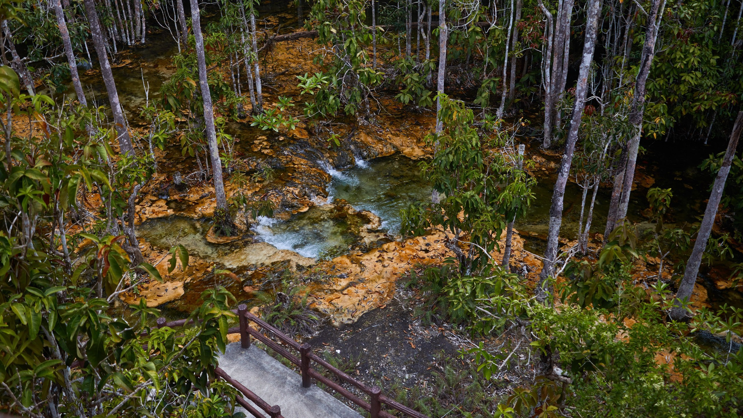 Travel портфолио. Репортажный и детский фотограф в Москве Илья Еренбург