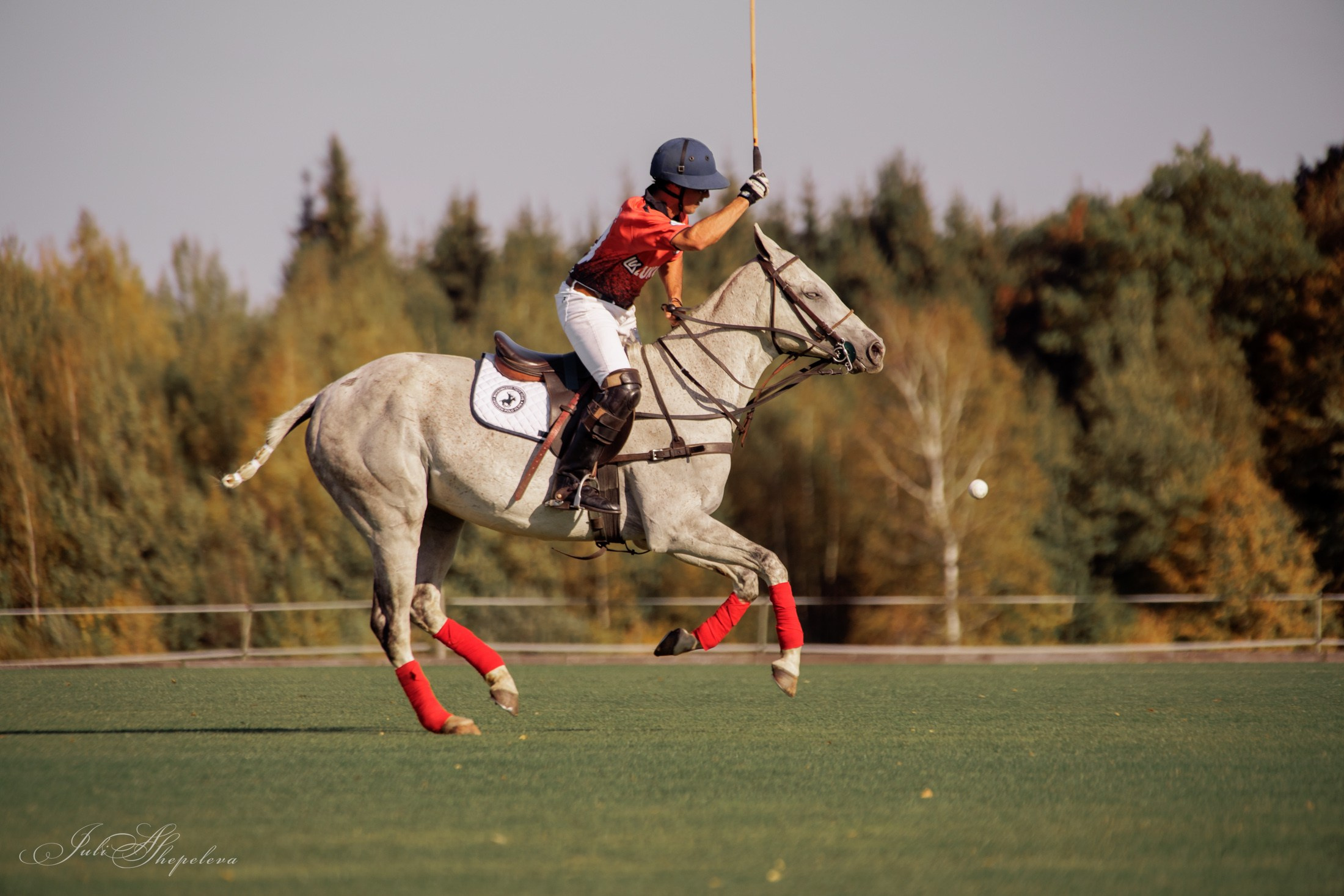 Осенний кубок по конному поло. Детская Конная фотография в Москве Юлия Шепелева