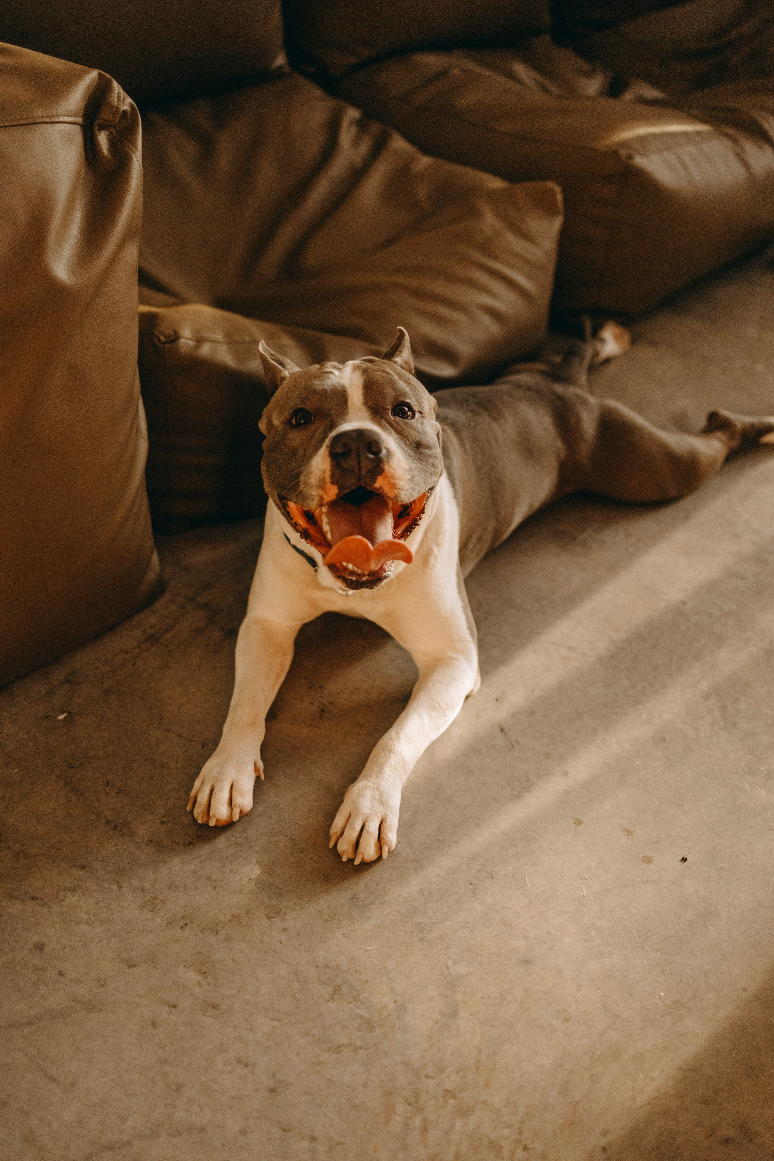 Саша и Кракен. Фотограф — Анималист | Санкт-Петербург