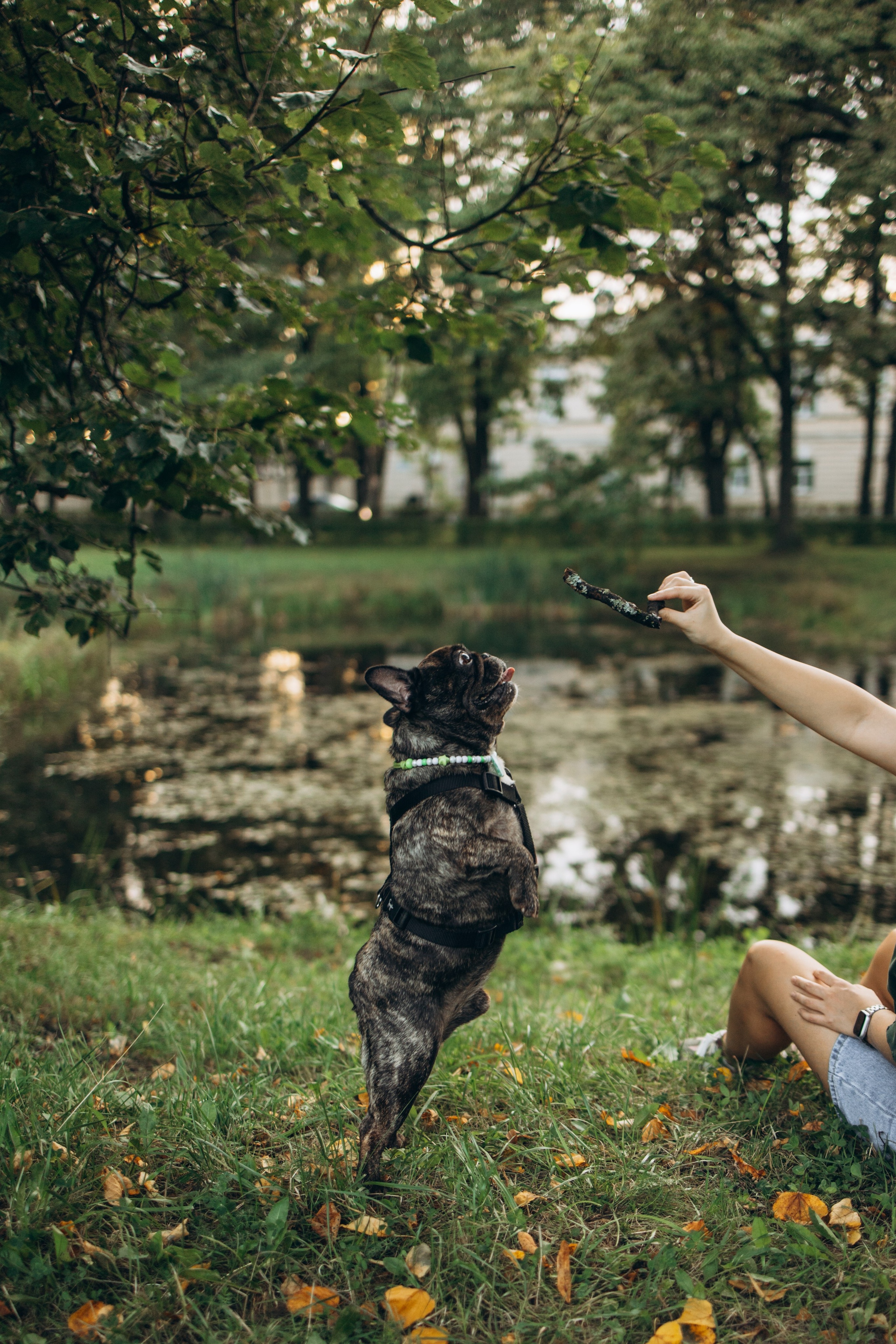 Олеся и Луи. Фотограф — Анималист | Санкт-Петербург