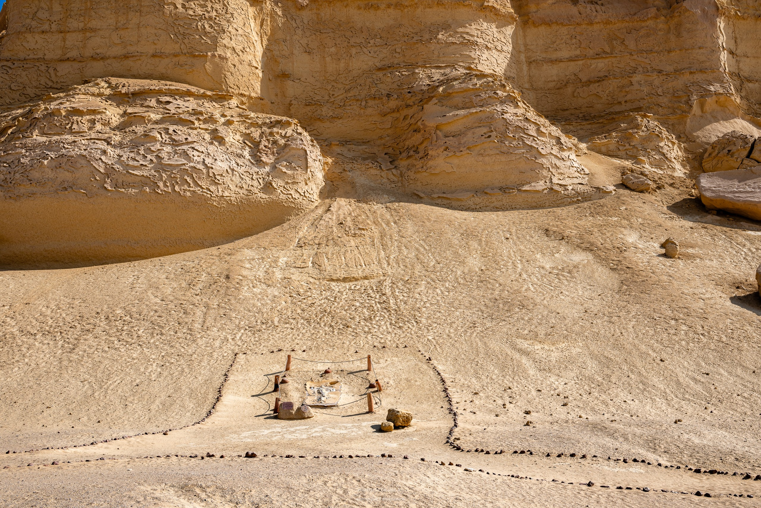 Снова в пустыню, за скелетами…. Авторские стильные фотокартины