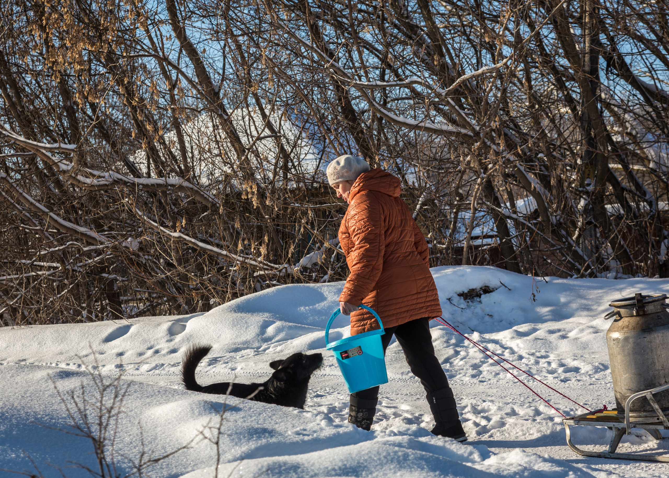 ТАТЬЯНИН ДЕНЬ. Контакты