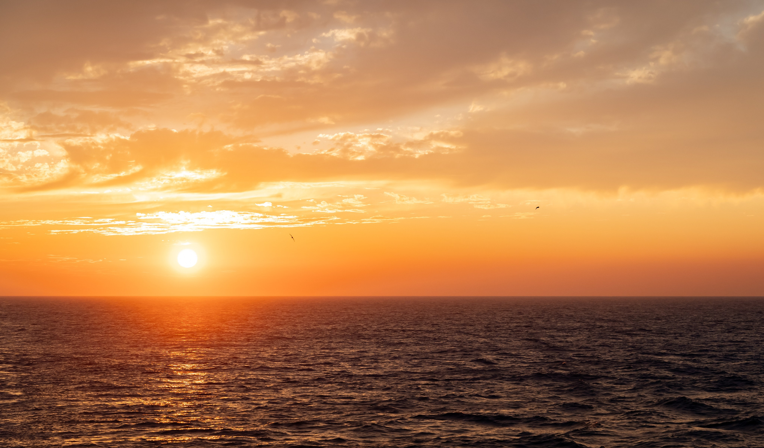 Итуруп. Семейный фотограф Варвара Сорока в городе Москве