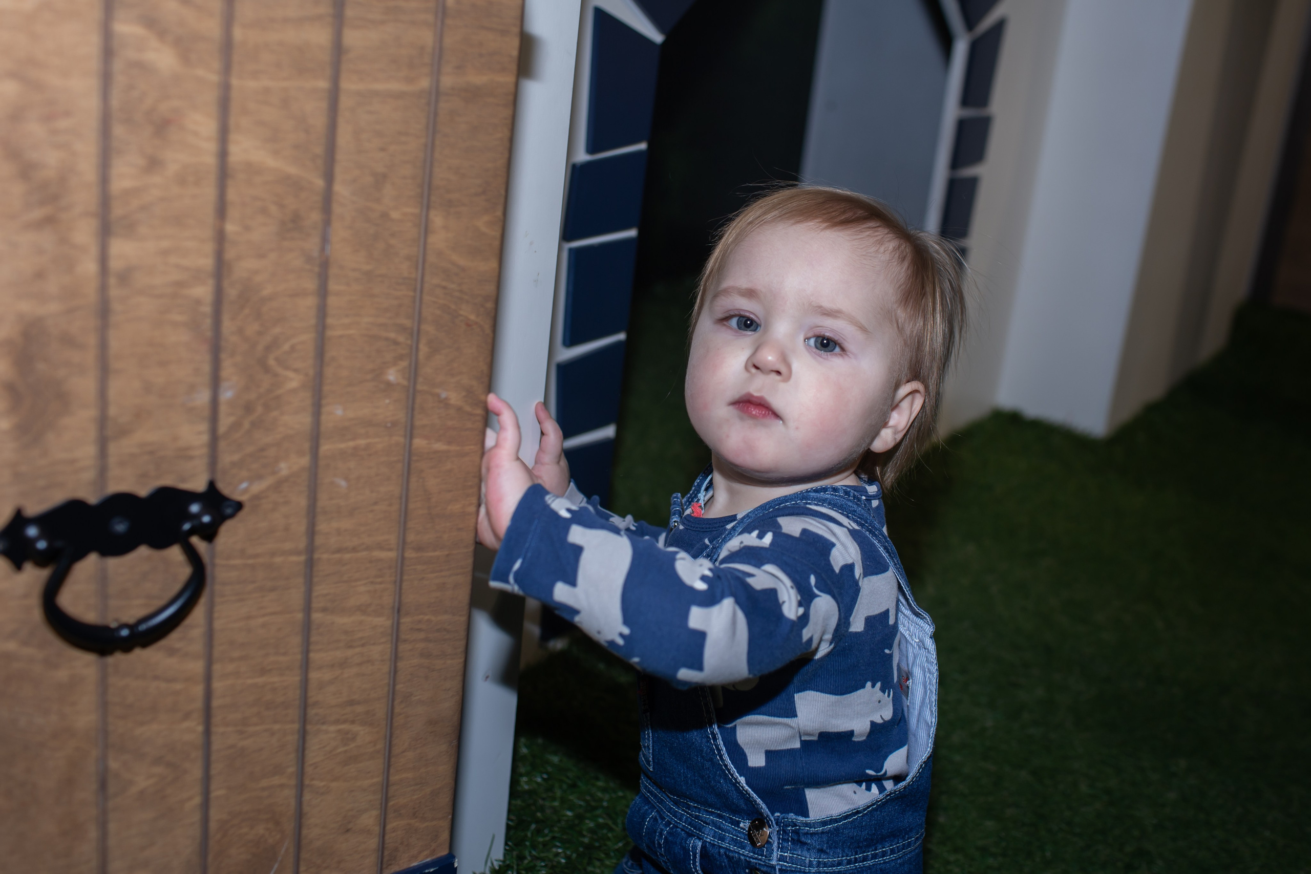 Данила 5 лет. Семейный фотограф в Санкт-Петербурге